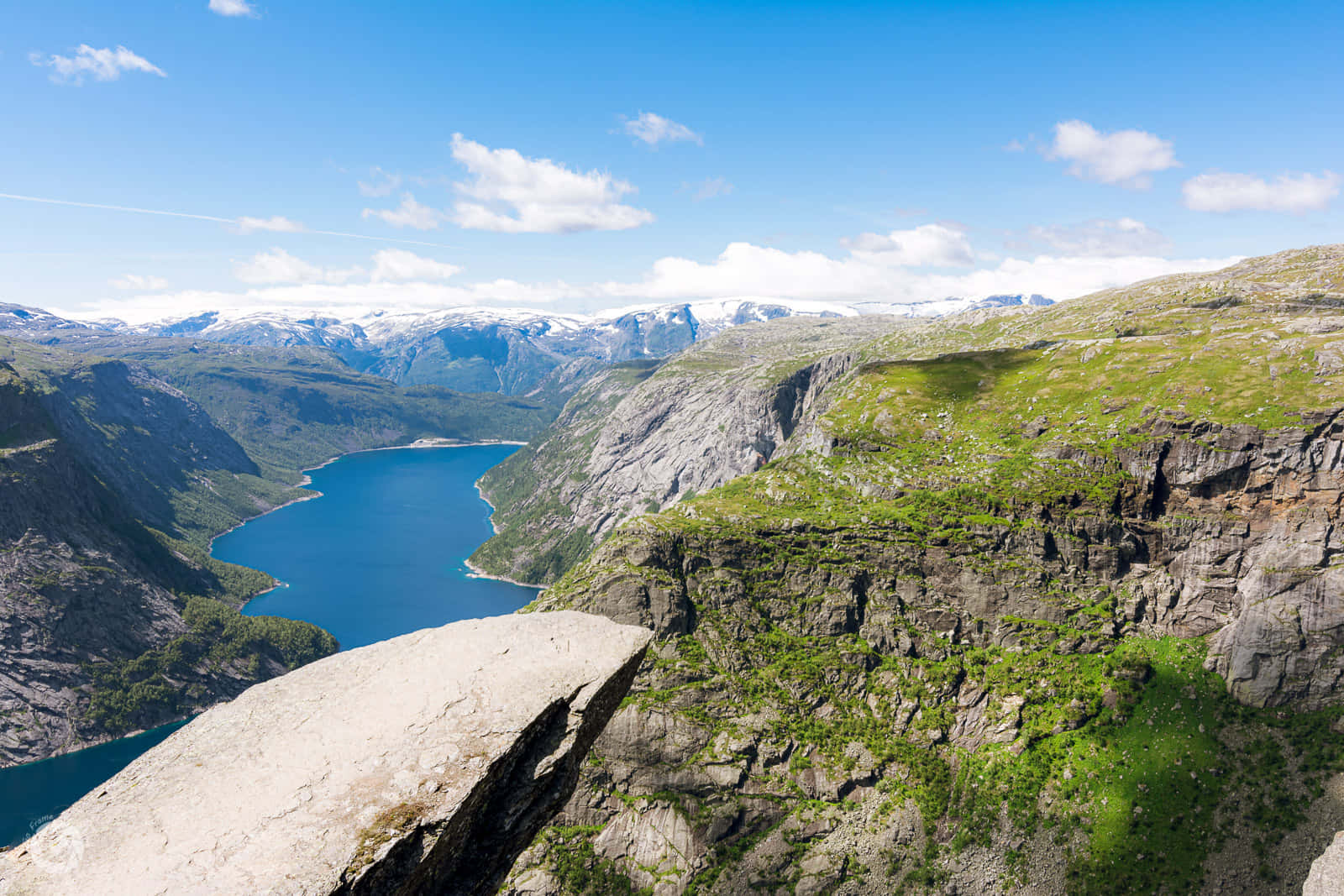 Trolltunga, green moss, deep blue fjord, HD Desktop Wallpaper