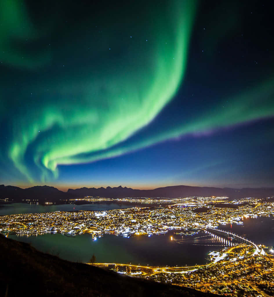 Tromsø, aurora borealis, coastal city, SD Phone Wallpaper