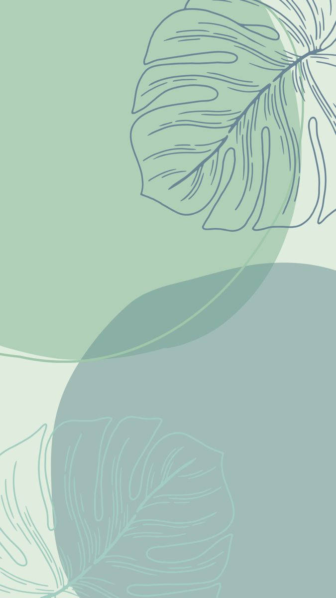 mint green, iPhone, monstera leaves, SD Phone Wallpaper
