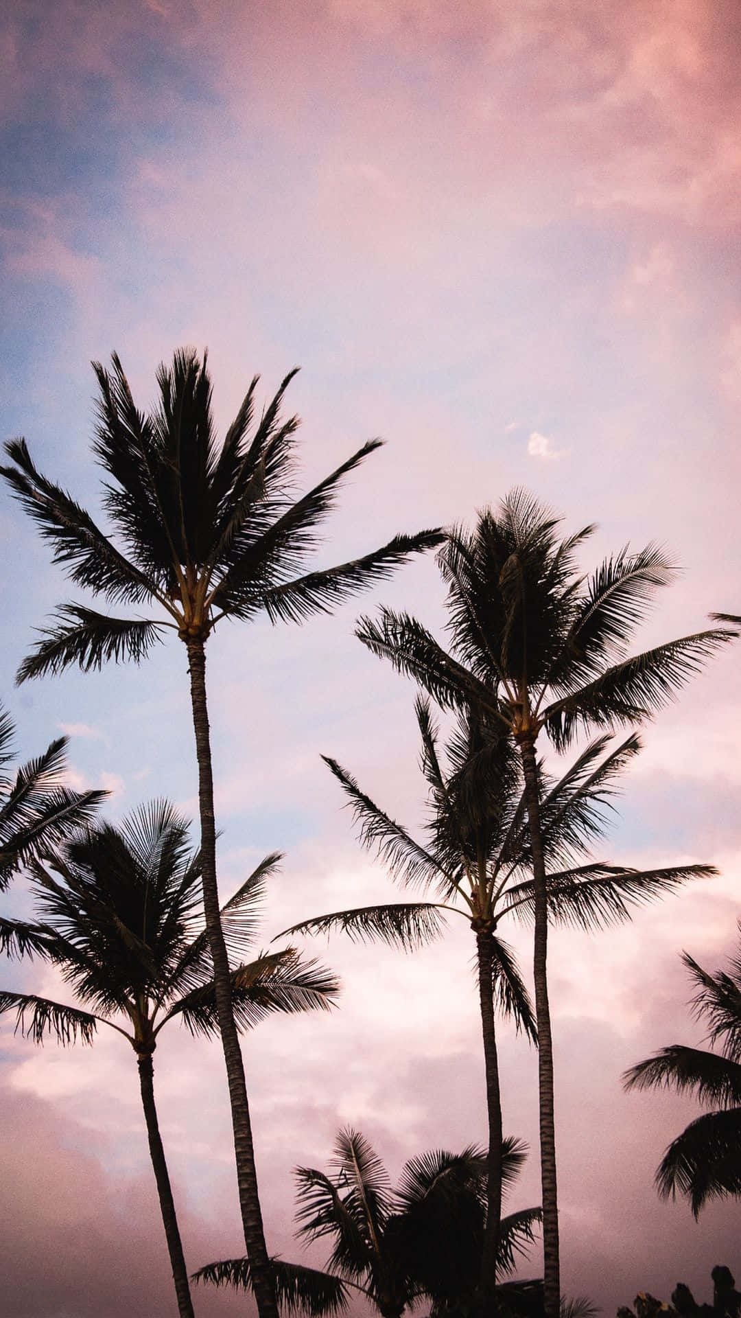 tropical island paradise, palm trees, soft pink and blue twilight sky, Full HD Phone Wallpaper