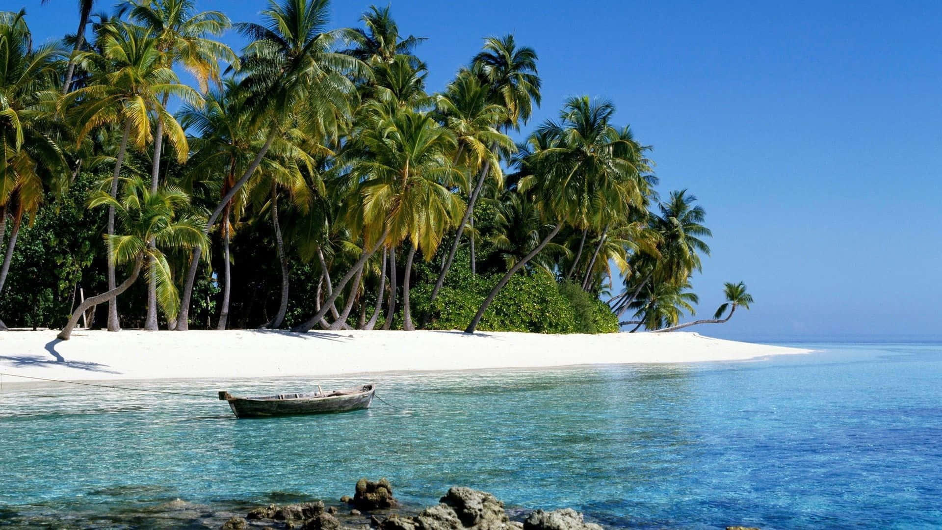 tropical aesthetic, crystal clear turquoise water, white sandy beach, Full HD Desktop Wallpaper