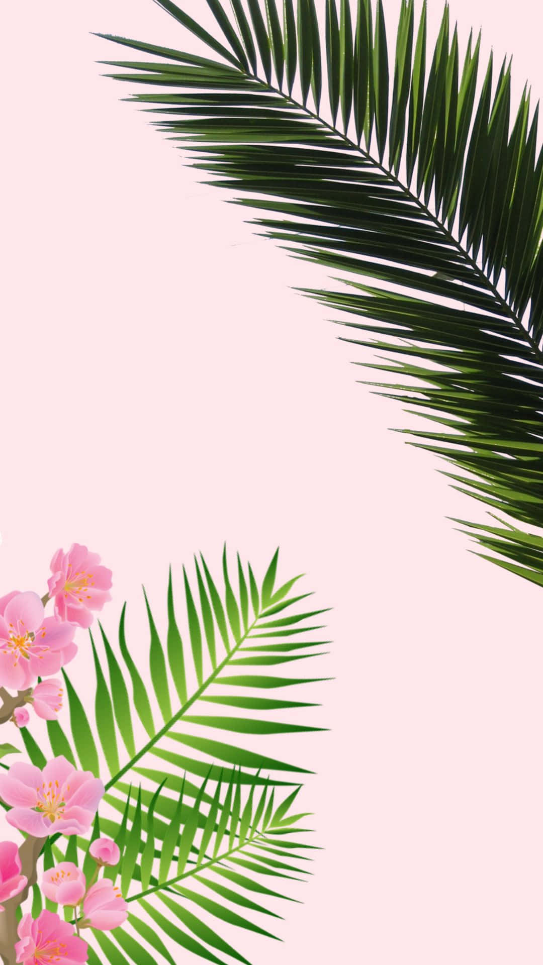 tropical aesthetic, pink cherry blossoms, lush green palm fronds, Full HD Phone Wallpaper