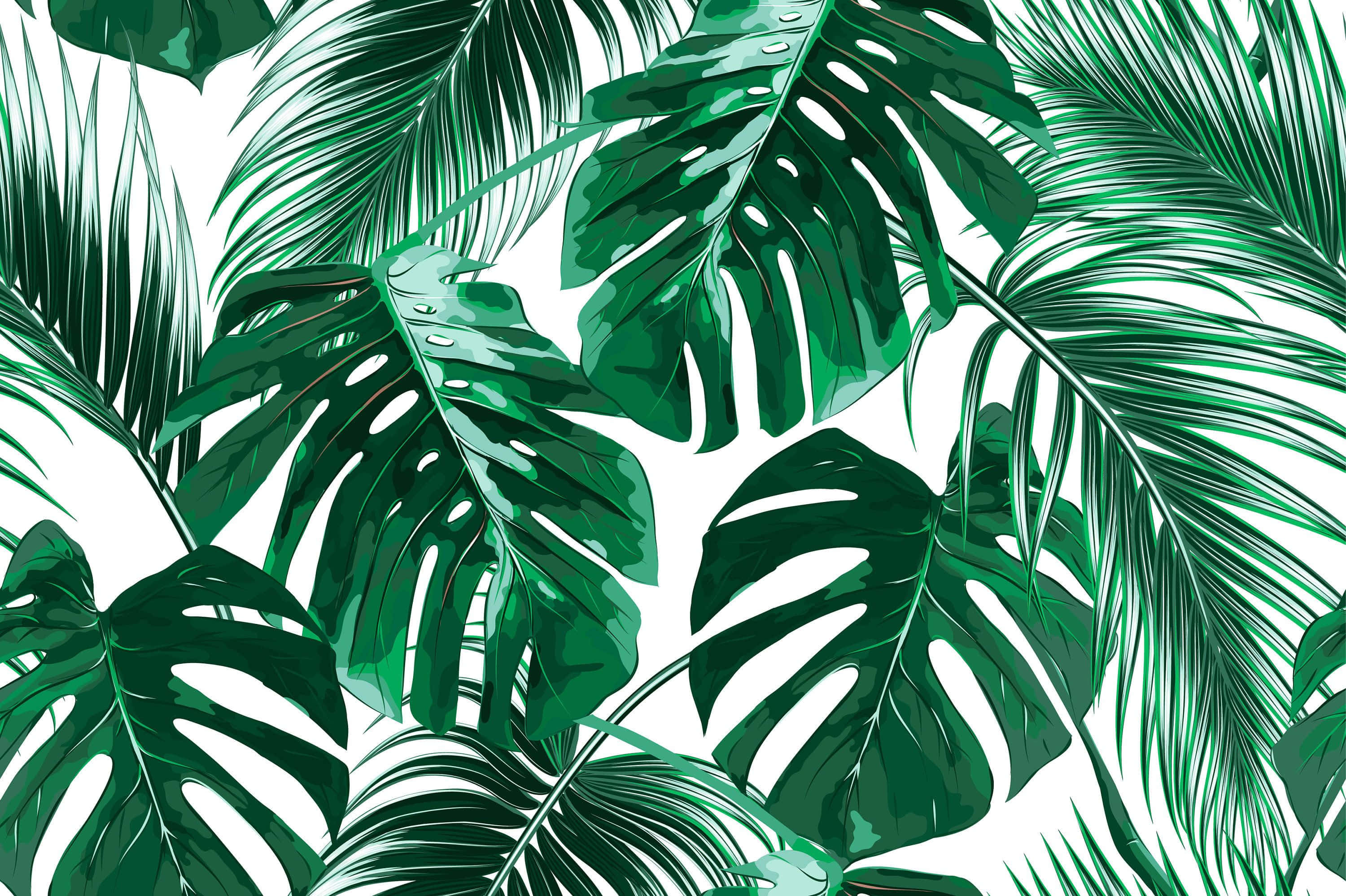 tropical leaves, glossy highlights, white background, 2K Desktop Wallpaper