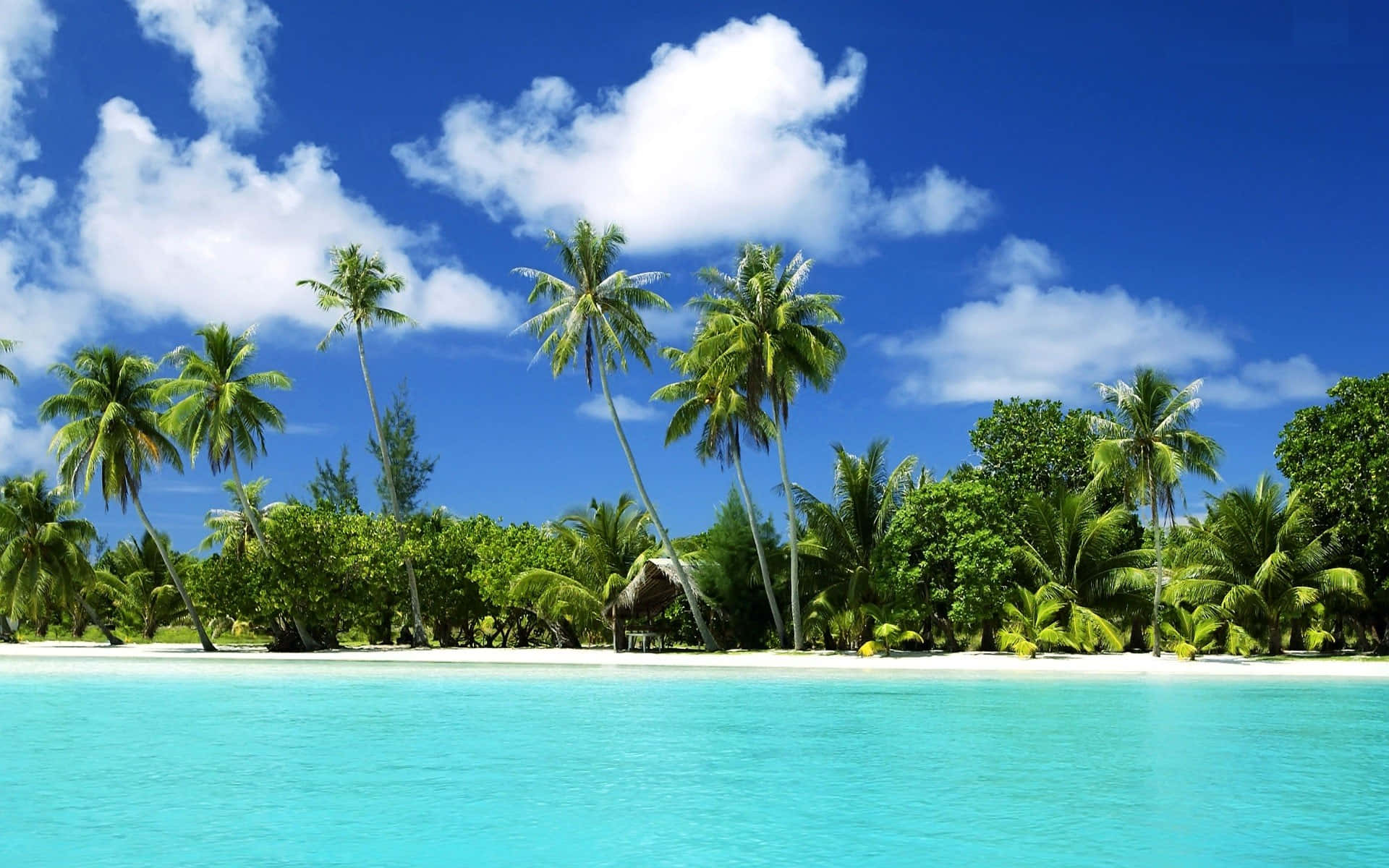Tropical Beach Scenes, turquoise ocean, white sand beach, Full HD Desktop Wallpaper