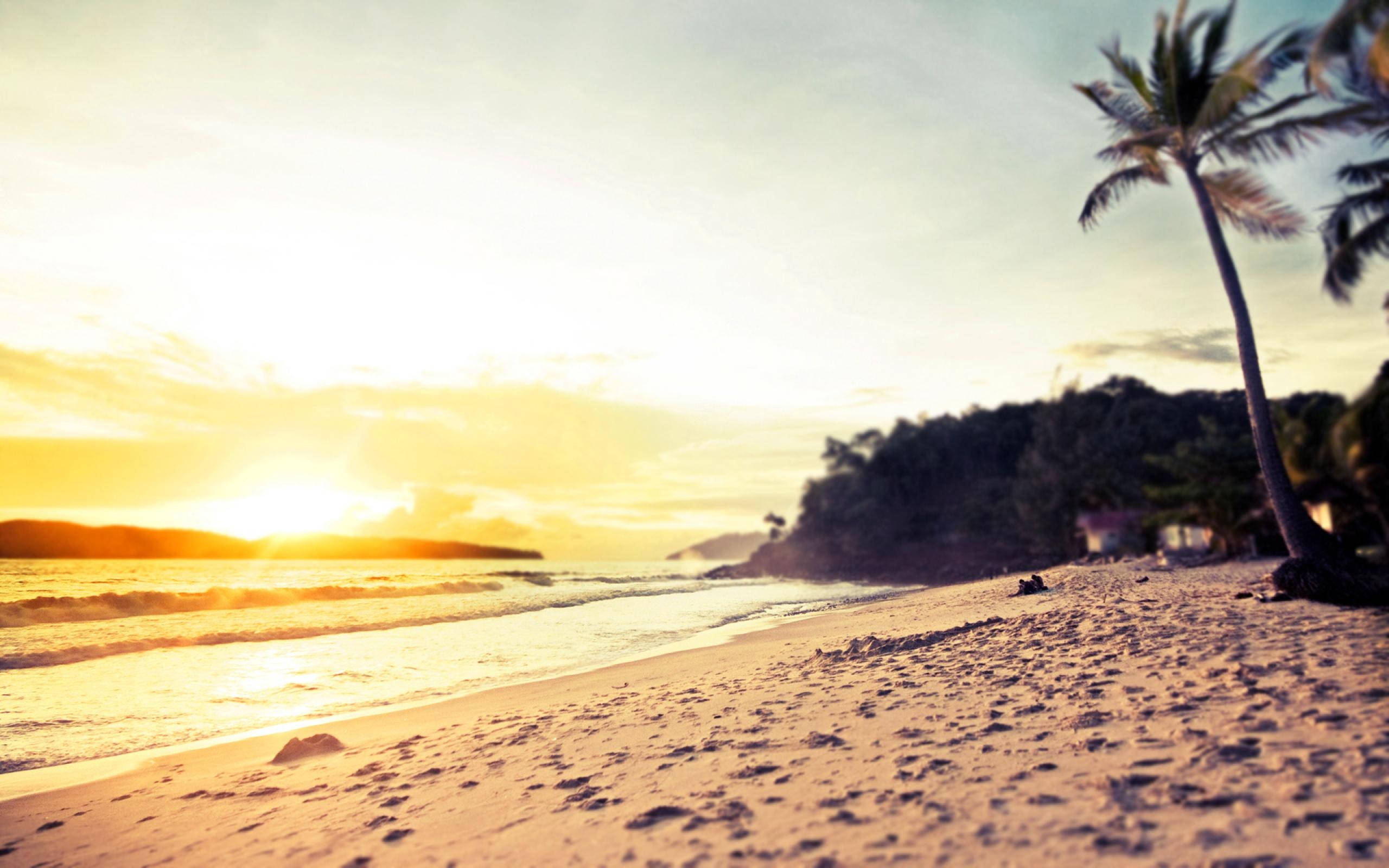tumblr sunset desktop, golden sunset, tropical beach, 2K Desktop Wallpaper