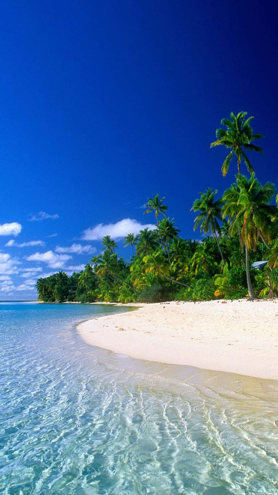 tropical beach scenes, crystal clear turquoise waters, pristine white sand beach, Full HD Phone Wallpaper