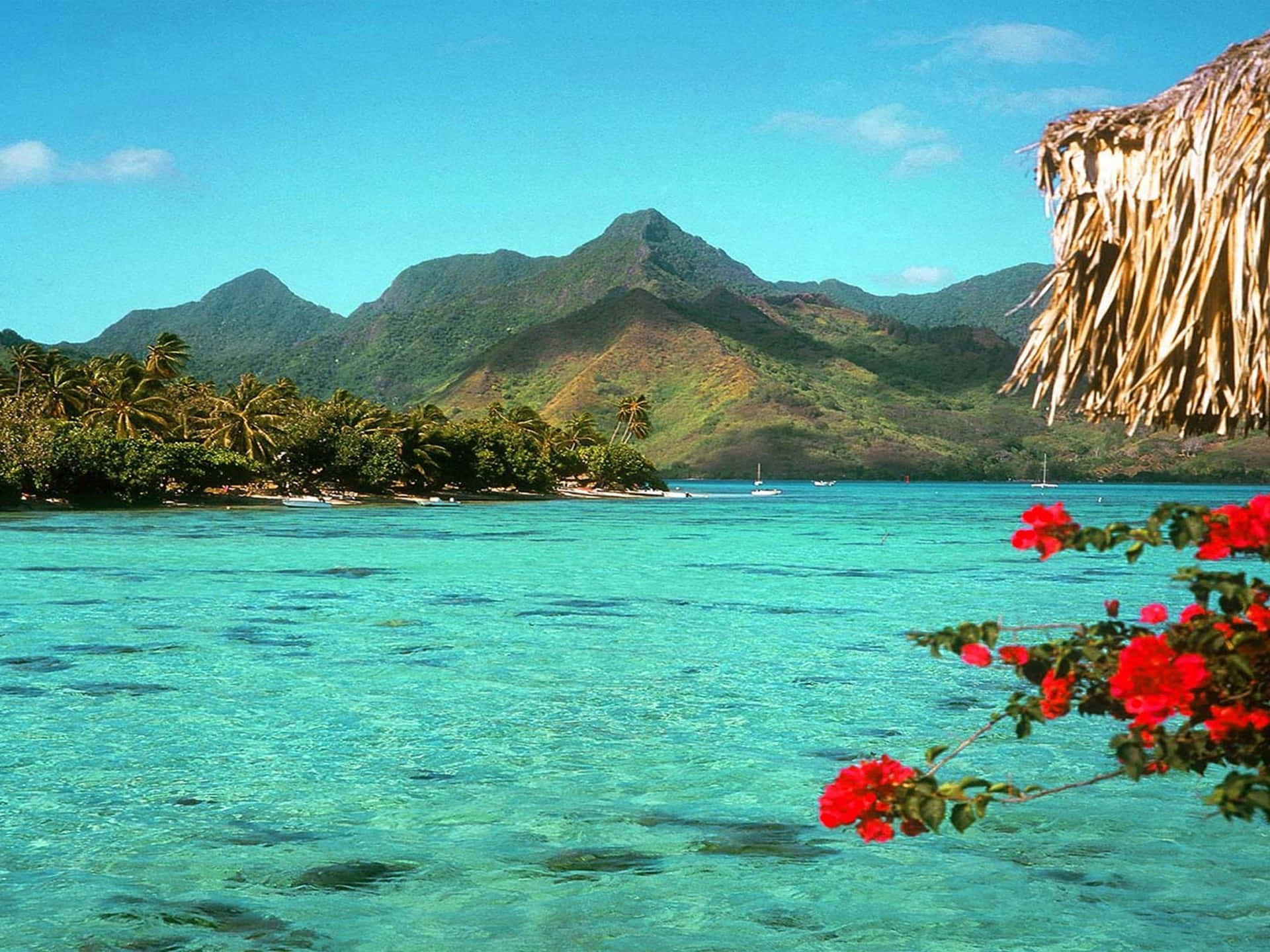 tropical beach scenes, 1920 x 1440, turquoise waters, Full HD Desktop Wallpaper