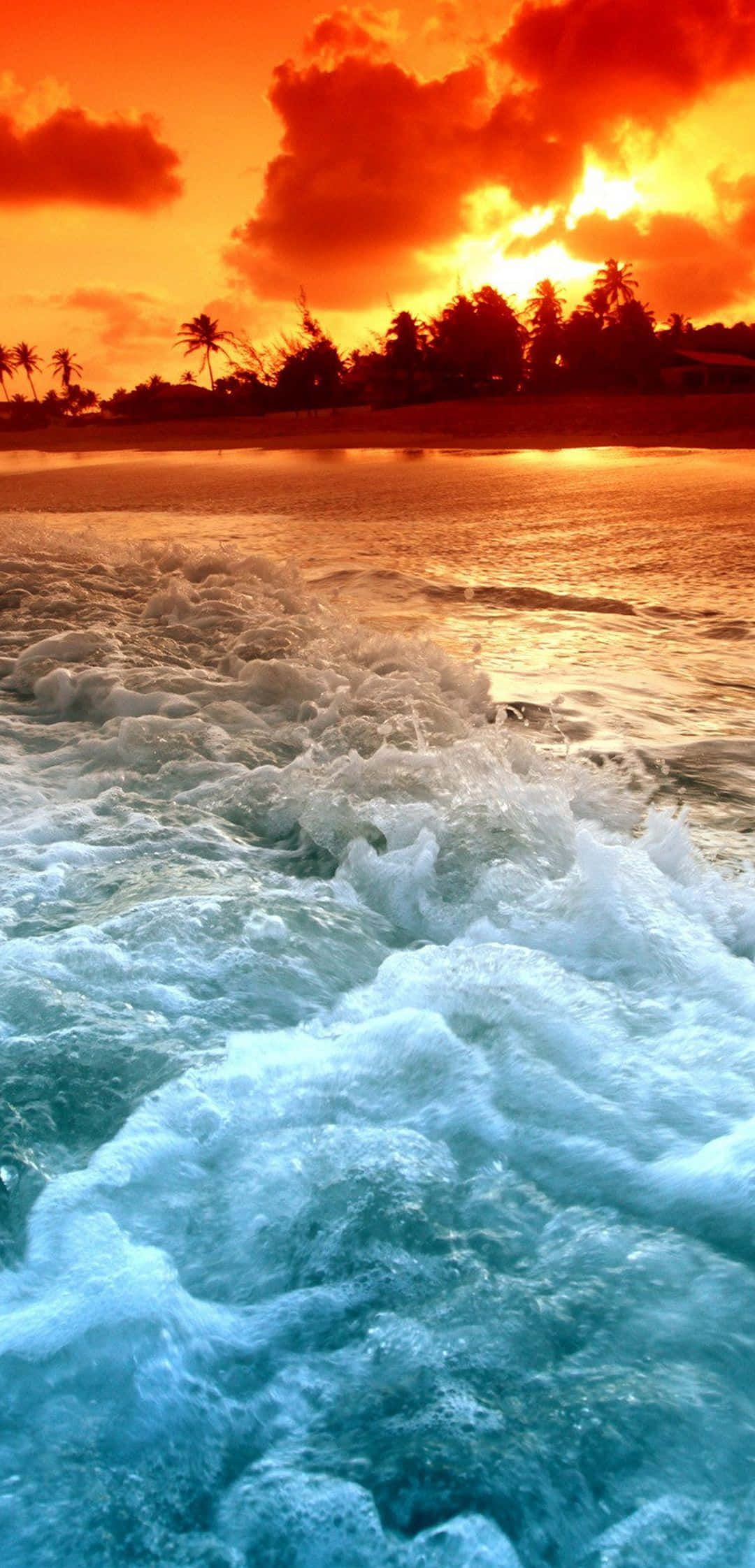 tropical beach scenes, tropical paradise, vibrant sunset, Full HD Phone Wallpaper