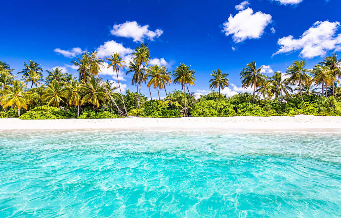 tropical beach, crystal clear turquoise water, pristine white sand beach, HD Desktop Wallpaper