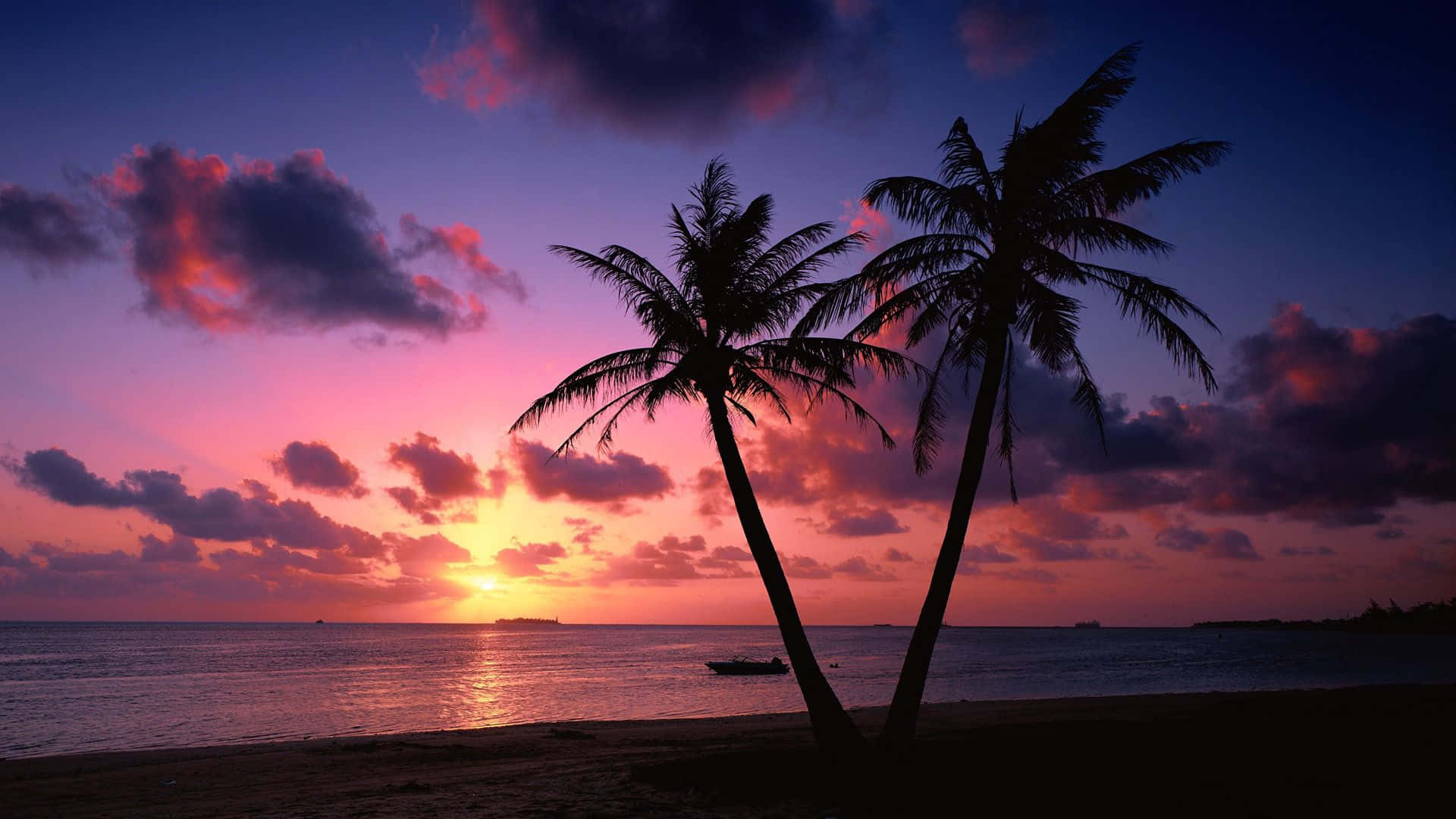 palm trees, beach, sunset, Full HD Desktop Wallpaper