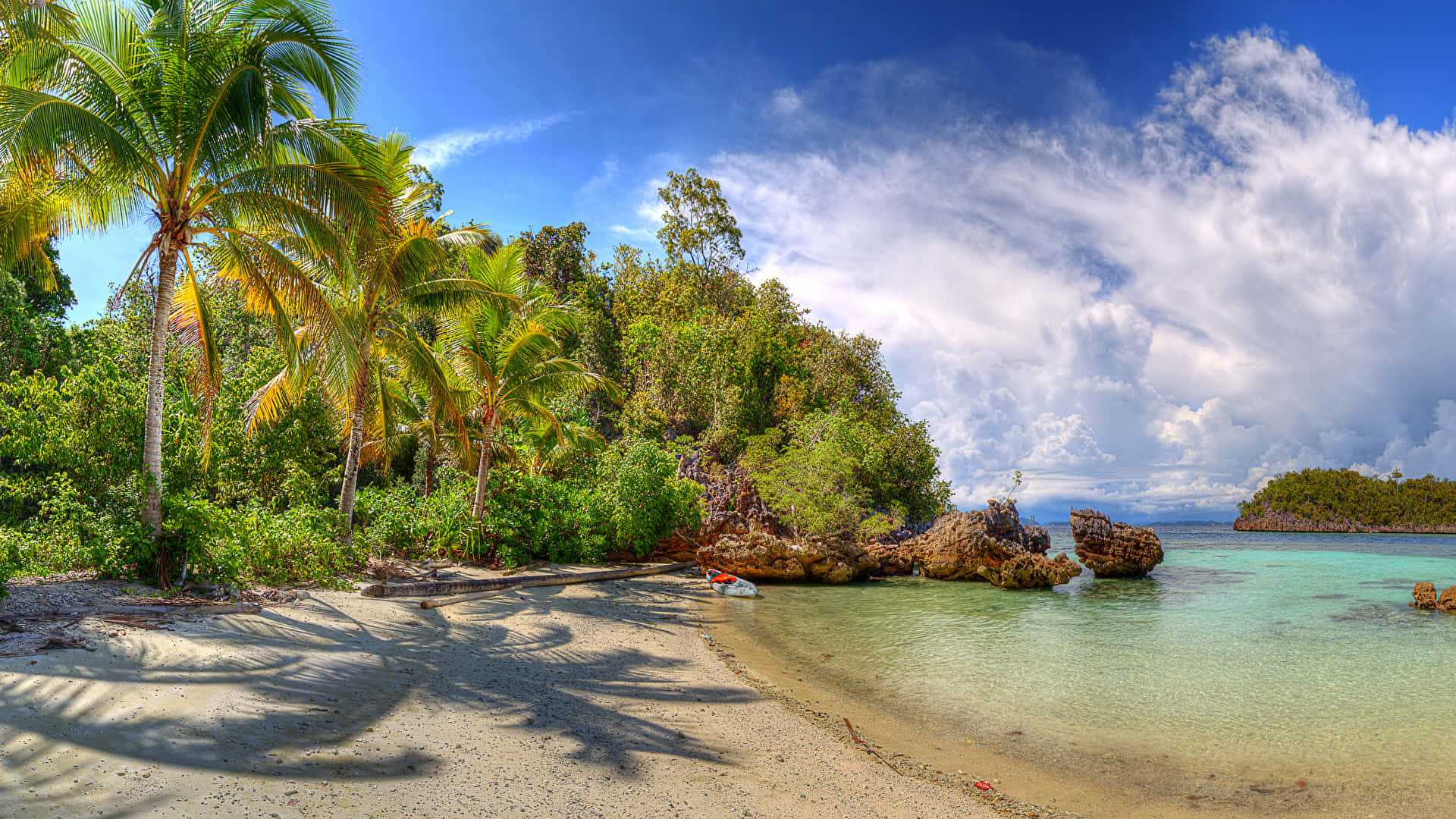 tropical beach scenes, palm trees, white sand, Full HD Desktop Wallpaper