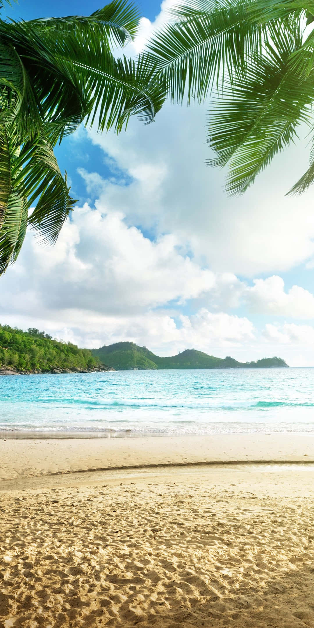 tropical beach, palm trees, turquoise ocean, Full HD Phone Wallpaper