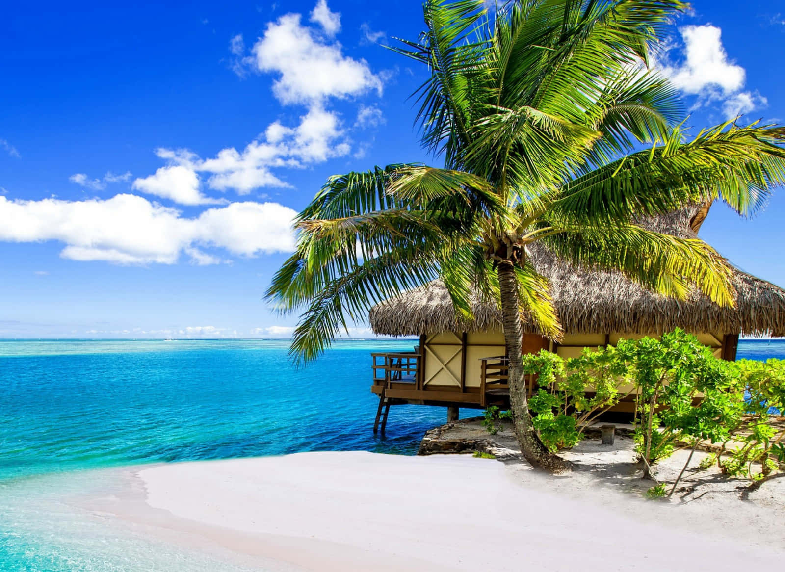 thatched-roof overwater bungalow, lush palm tree, pristine white sand beach, HD Desktop Wallpaper