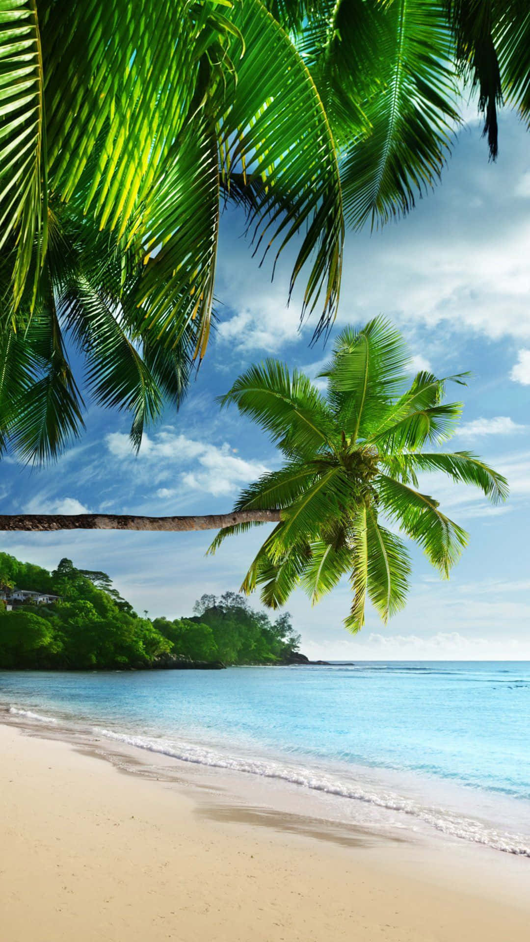 Tropical Beach, iPhone, lush green palm fronds, Full HD Phone Wallpaper