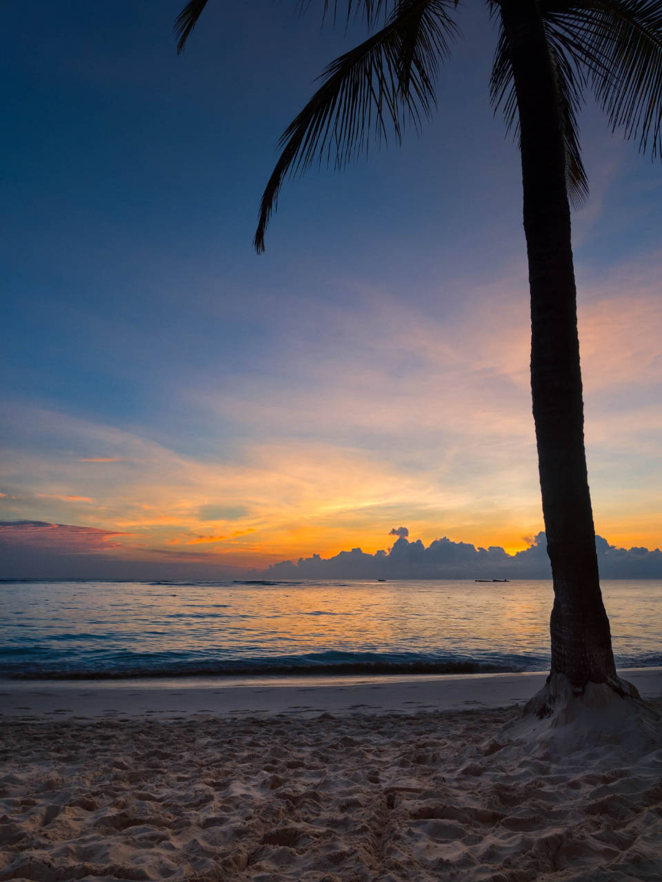 tropical beach, sunset, palm tree, HD Phone Wallpaper