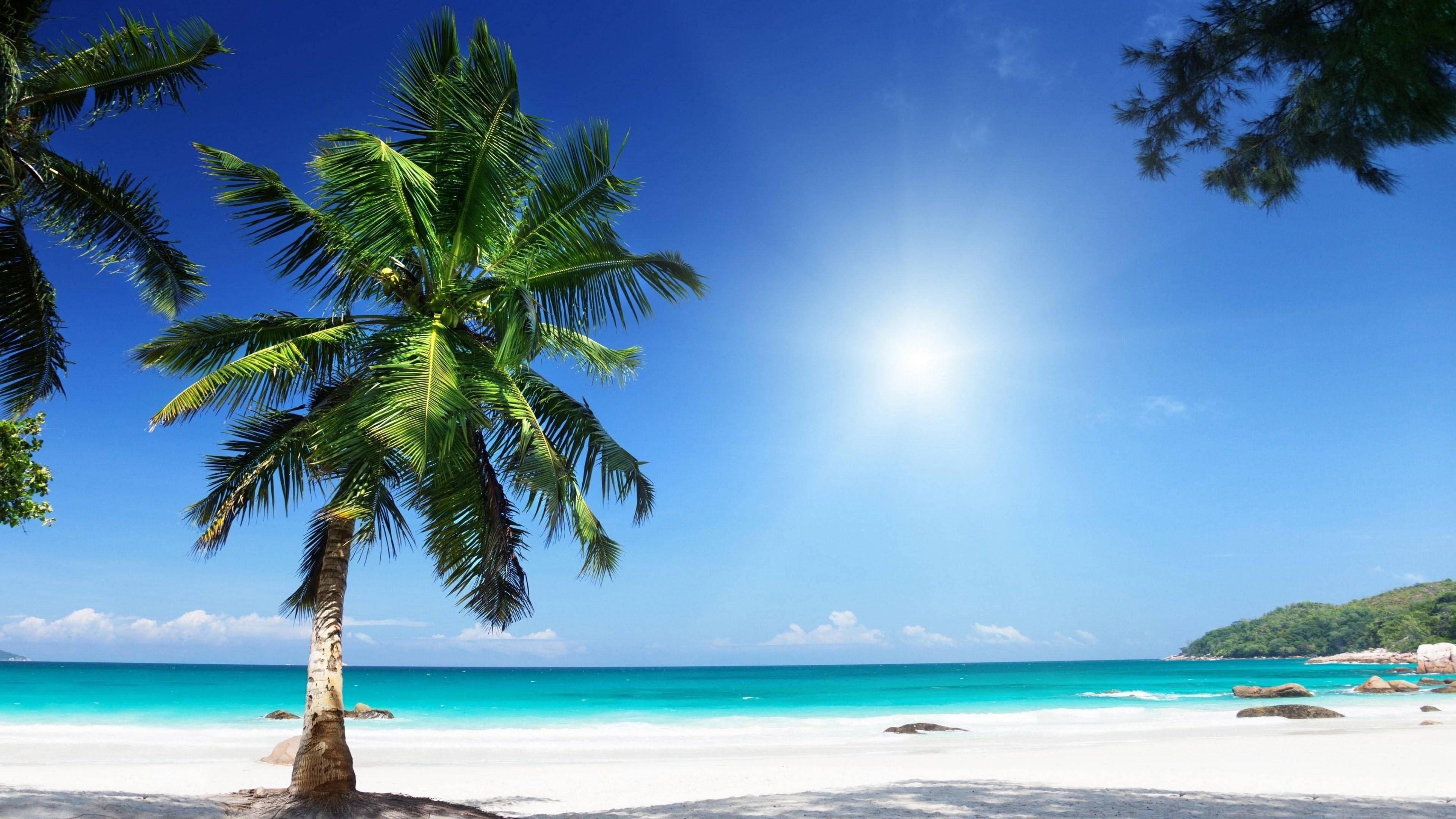 tropical beach, pristine white sand beach, bright sun, 4K Desktop Wallpaper