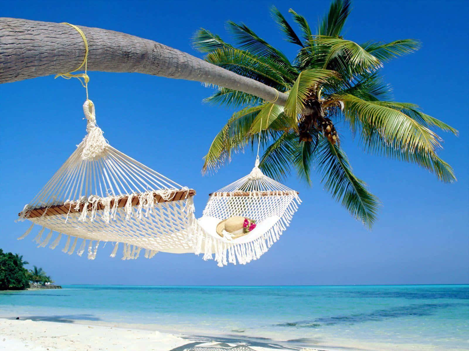 palm trees, turquoise ocean, white sand beach, HD Desktop Wallpaper