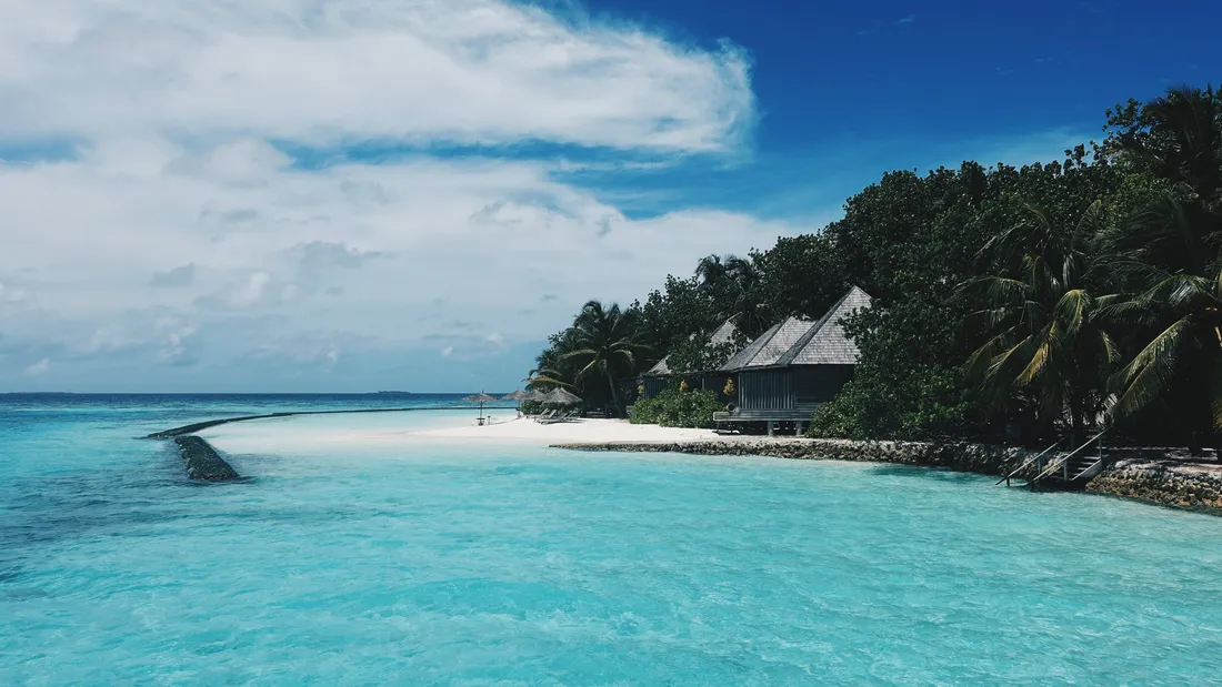 Tropical Desktop