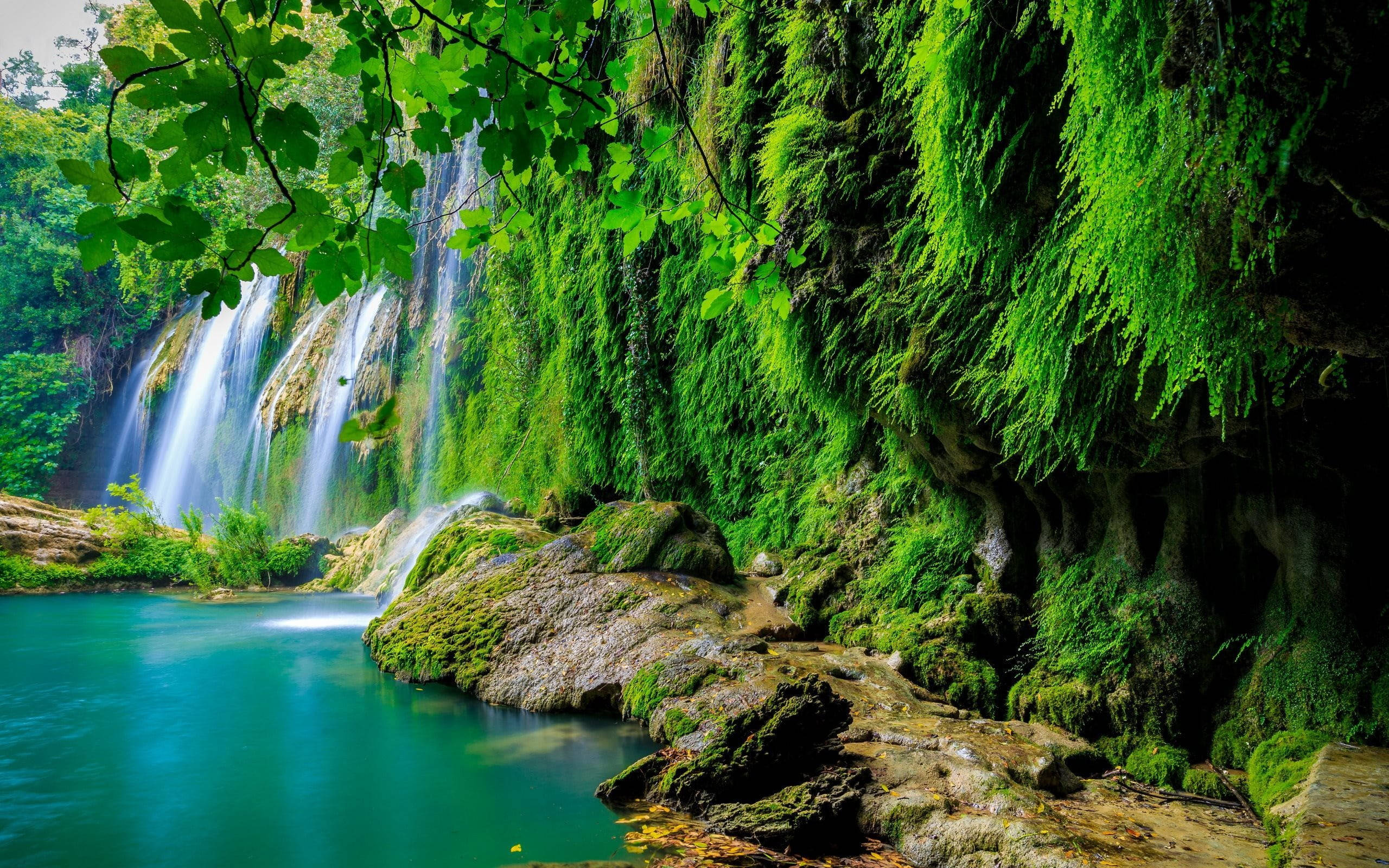 waterfall, rainforest, turquoise pool, 2K Desktop Wallpaper