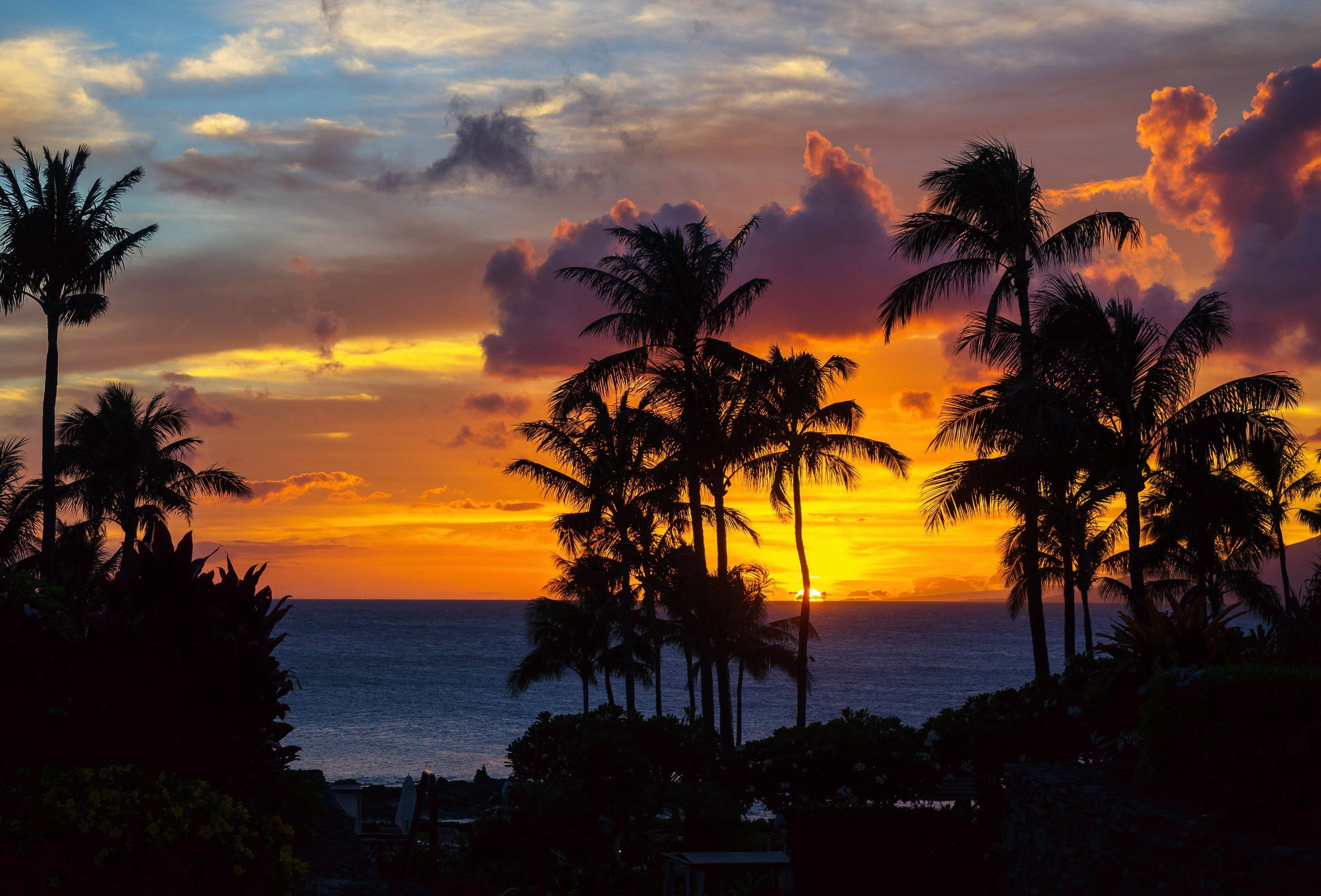 Fantastic Island Sunset, tropical desktop, palm trees, 4K Desktop Wallpaper