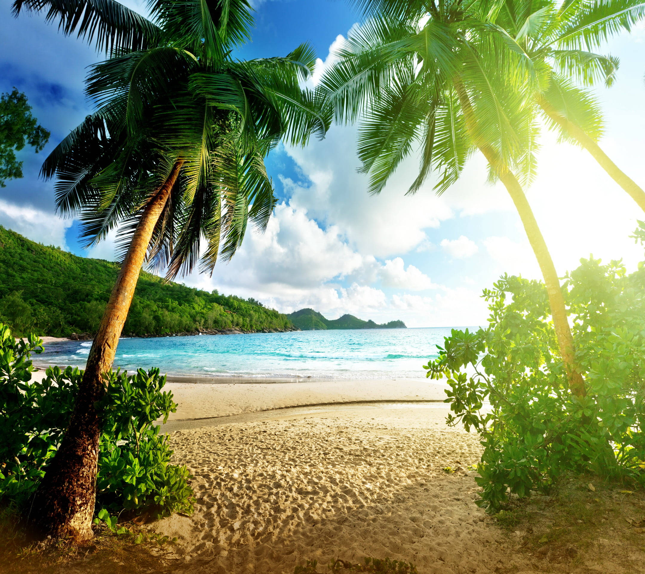 Tropical Desktop, beach, palm trees, Full HD Desktop Wallpaper