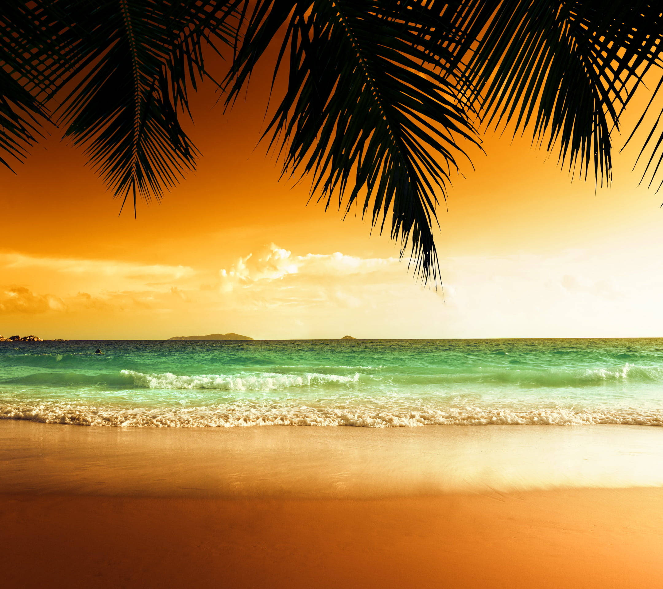 warm tinted beach, tropical desktop, palm fronds, Full HD Desktop Wallpaper