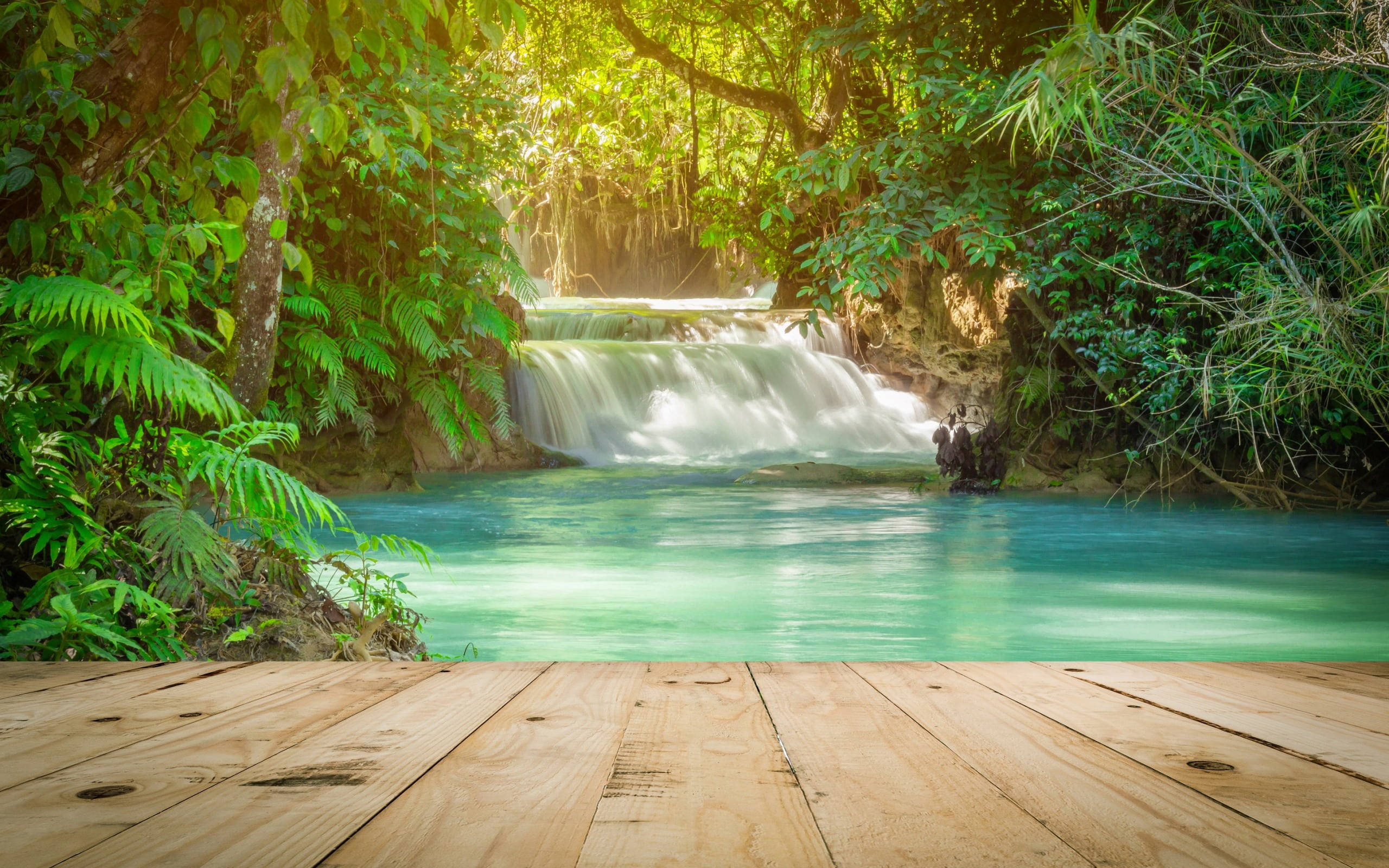 wooden deck, turquoise waterfall, lush green jungle foliage, 2K Desktop Wallpaper