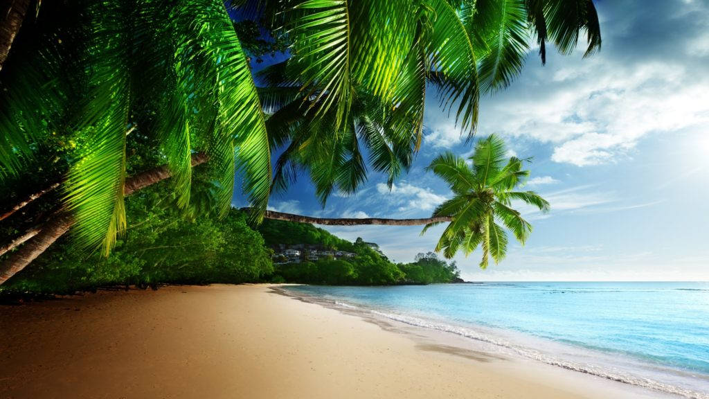 Tropical Beach Paradise 4K Desktop, golden sand, turquoise water, SD Desktop Wallpaper