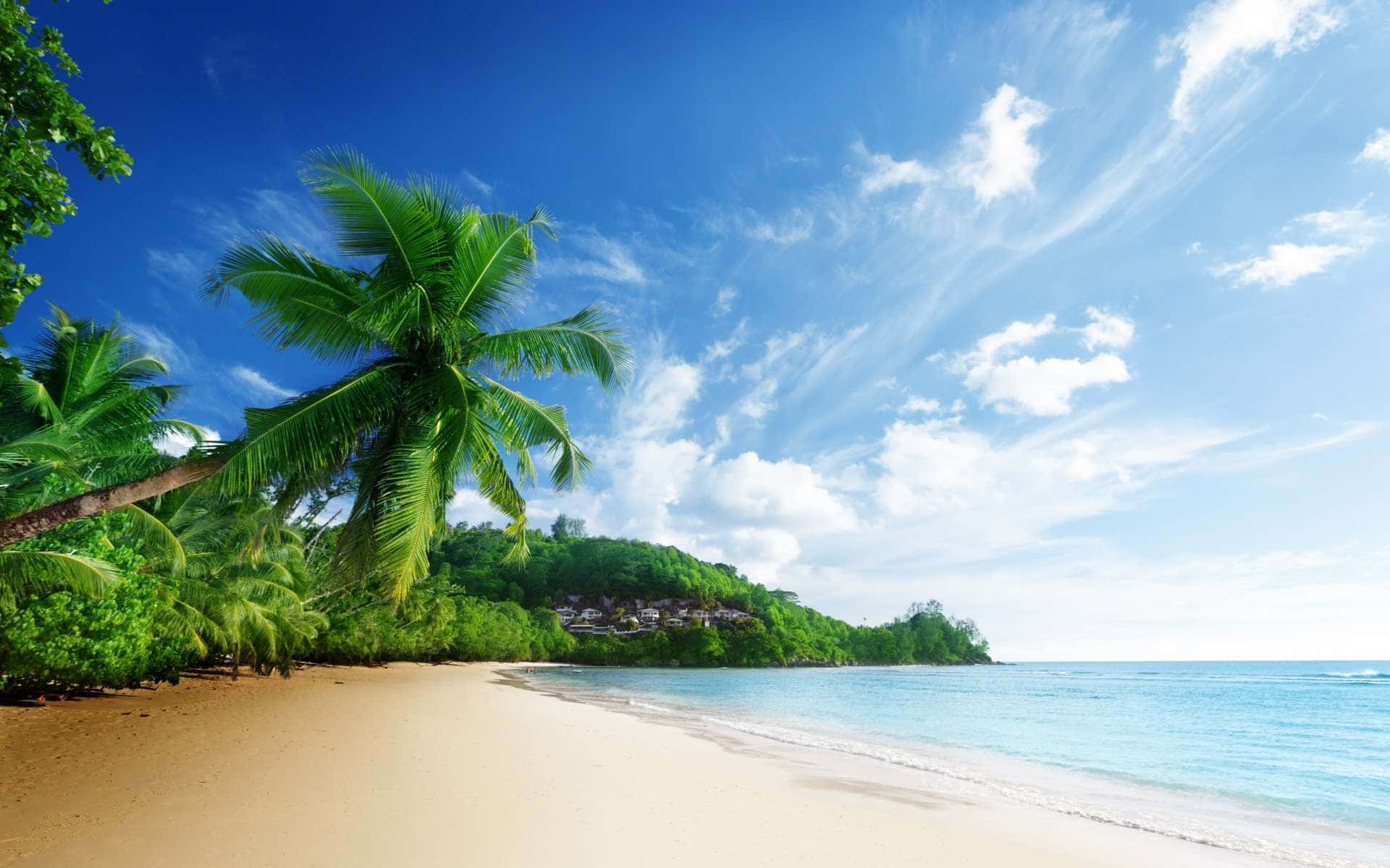 tropical palm island, golden sand, palm trees, Full HD Desktop Wallpaper