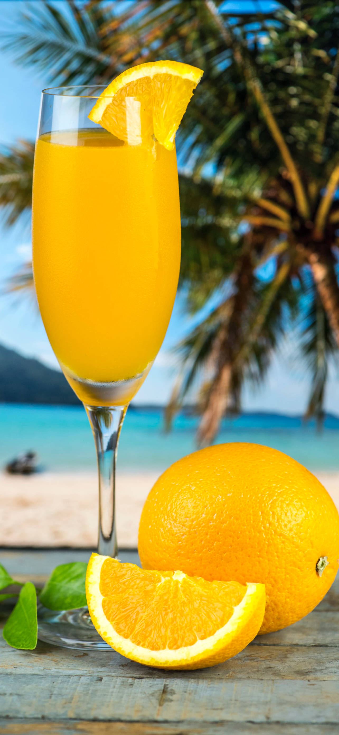 fresh orange tropical drink, flute glass, orange slice, 2K Phone Wallpaper
