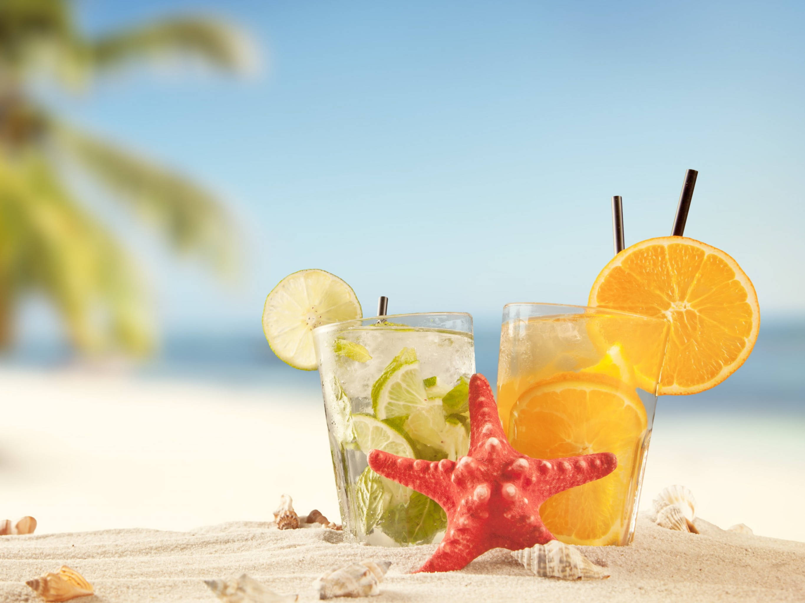 Lime And Lemon Tropical Drink, citrus garnishes, red starfish, 2K Desktop Wallpaper