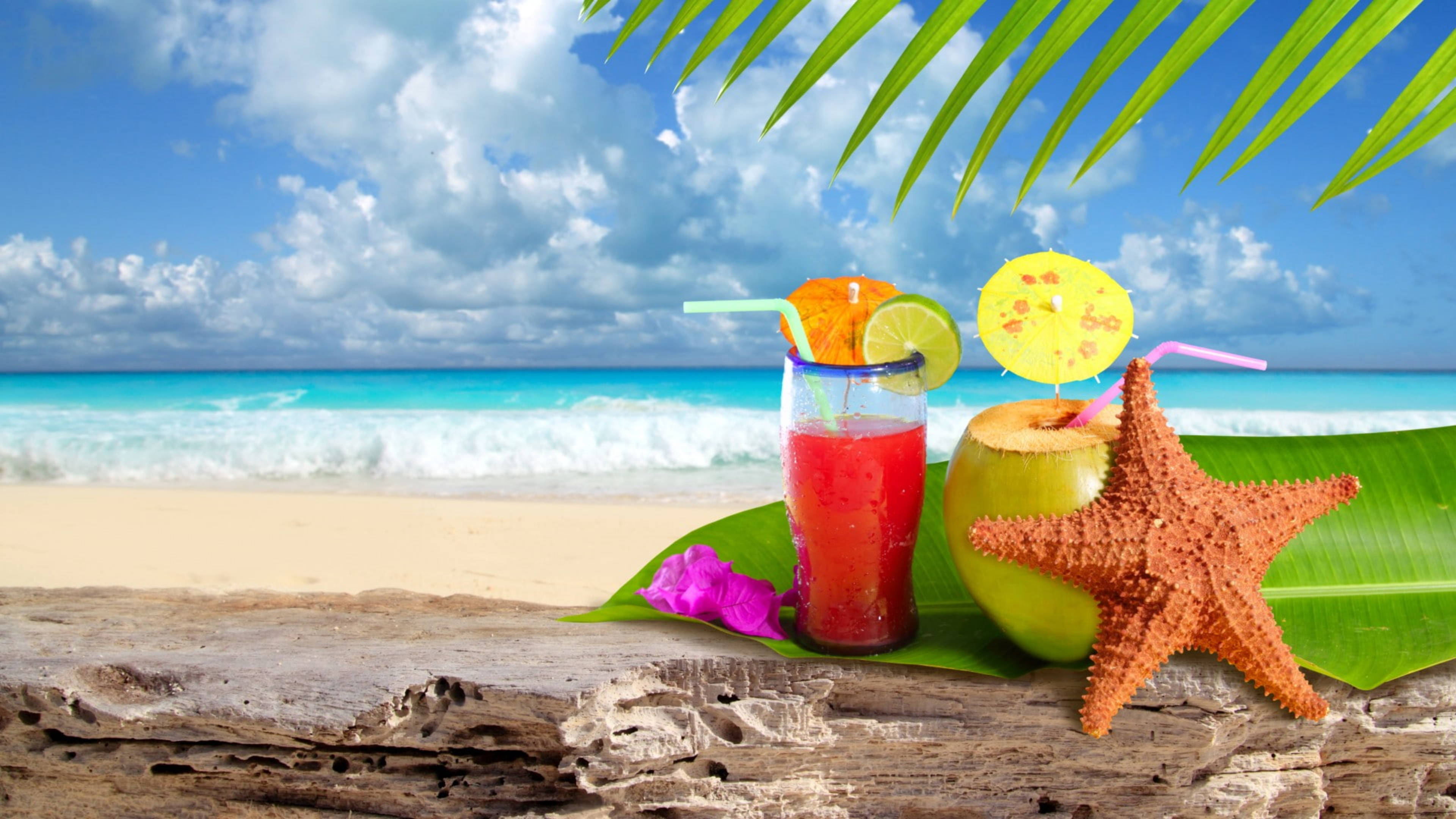 coconut and strawberry tropical drink, weathered log, starfish, 4K Desktop Wallpaper