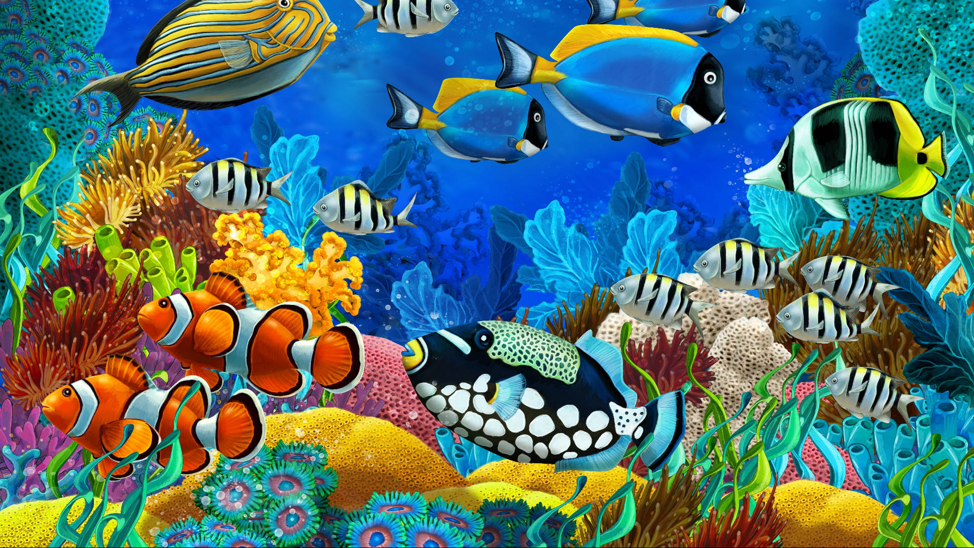Spotted Tropical Fish, vibrant tropical fish, colorful coral, Full HD Desktop Wallpaper