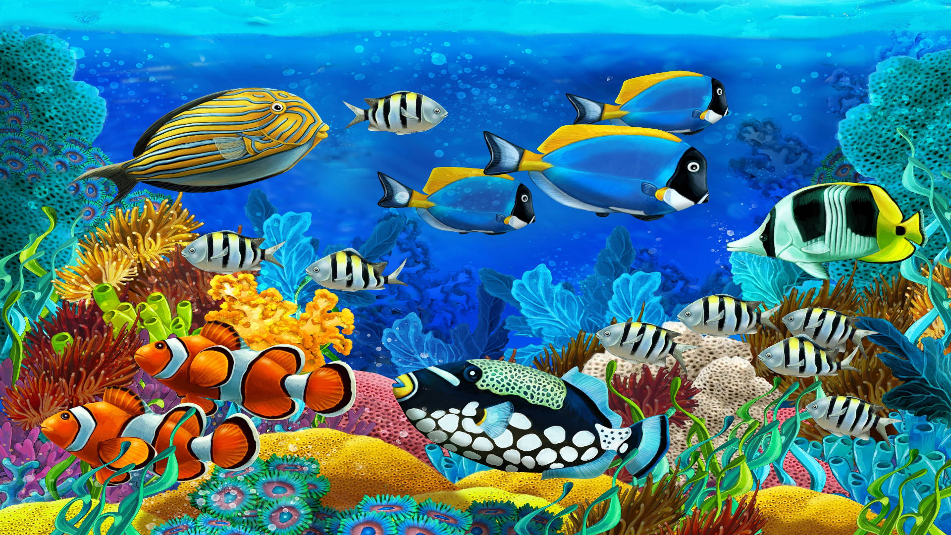 tropical fish, colorful coral reefs, bright blue ocean water, Full HD Desktop Wallpaper