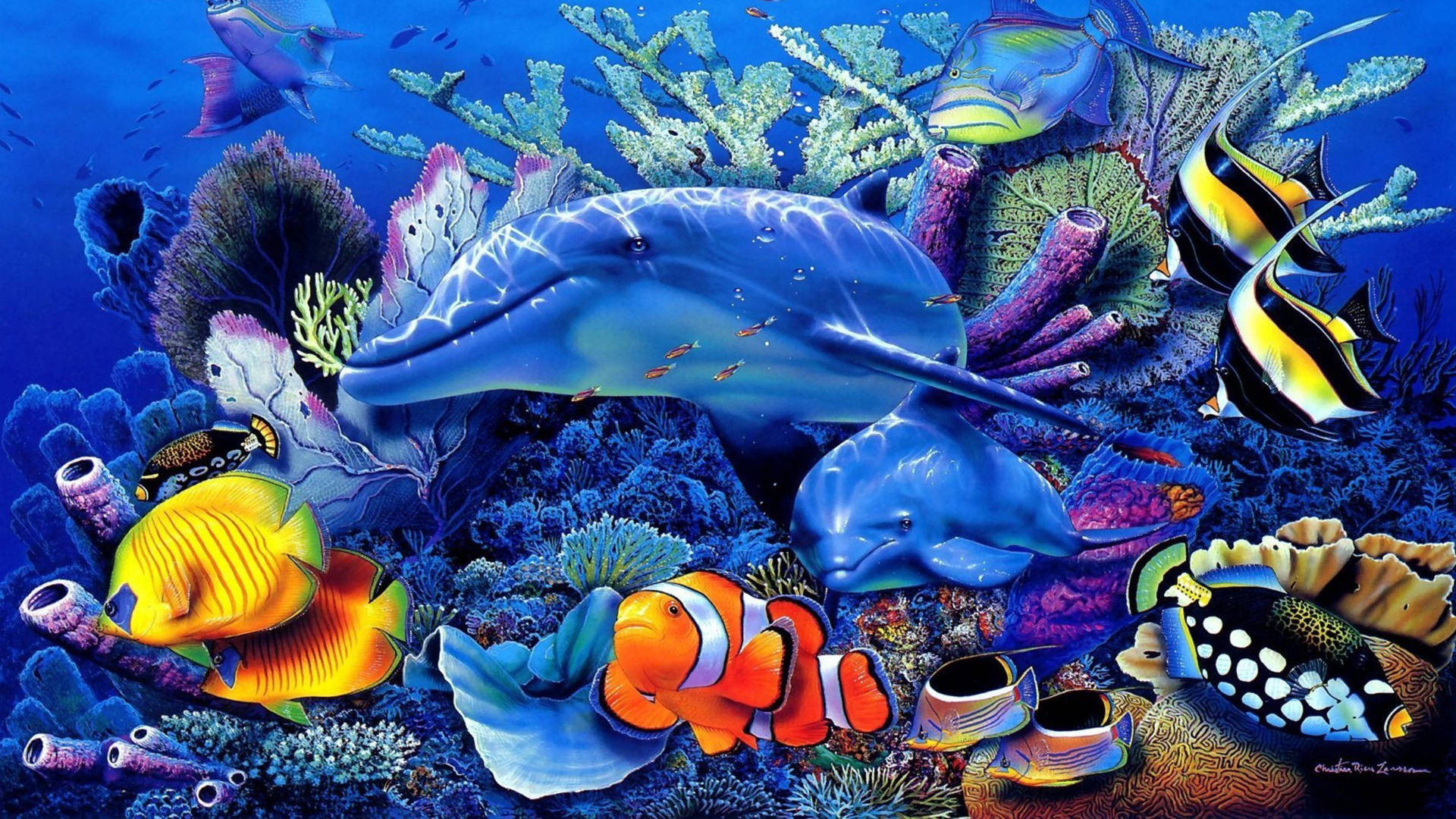 Emerging Dolphin Tropical Fish, dolphins, colorful coral reefs, Full HD Desktop Wallpaper