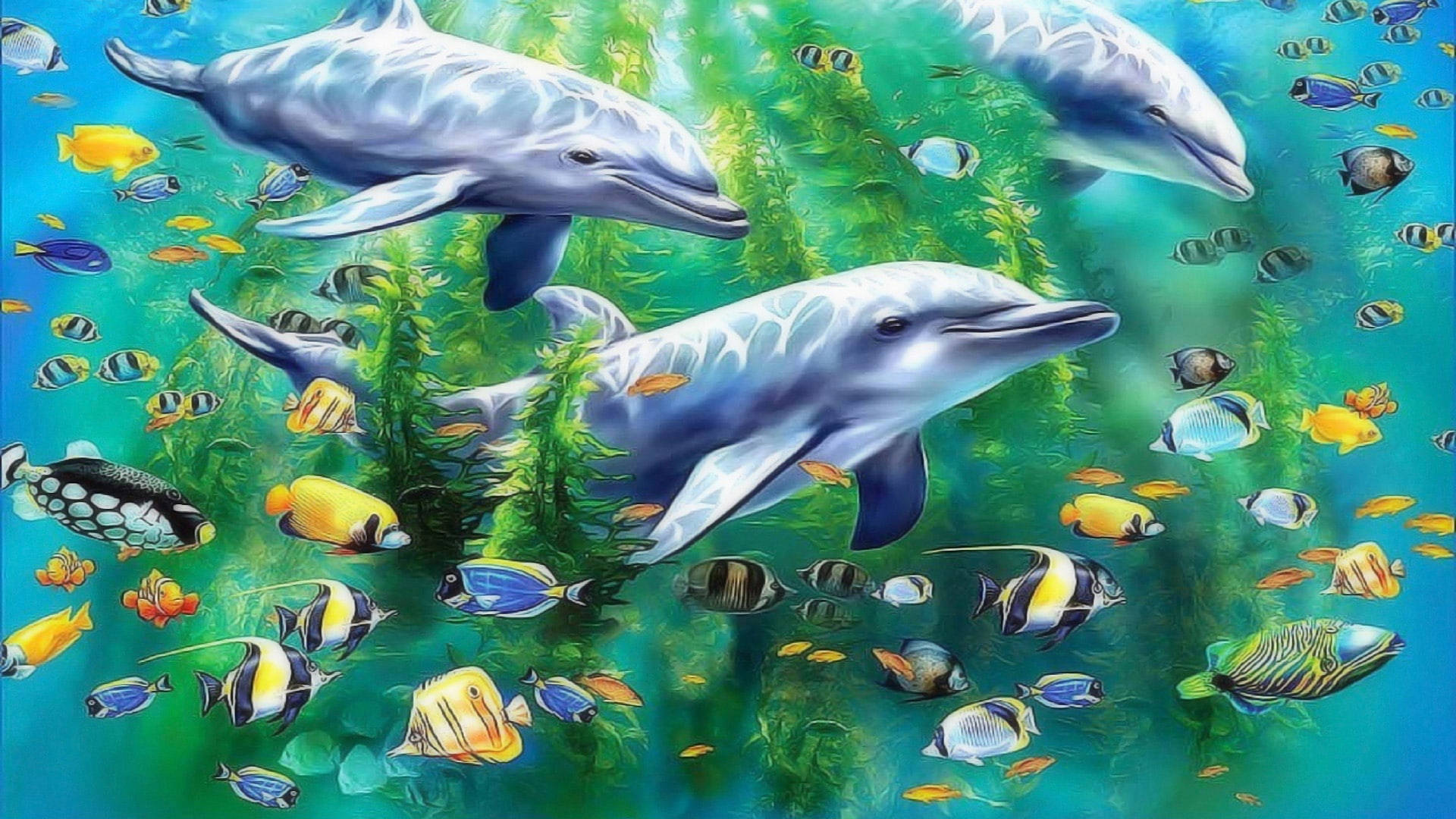 dolphin, tropical fish, turquoise waters, Full HD Desktop Wallpaper