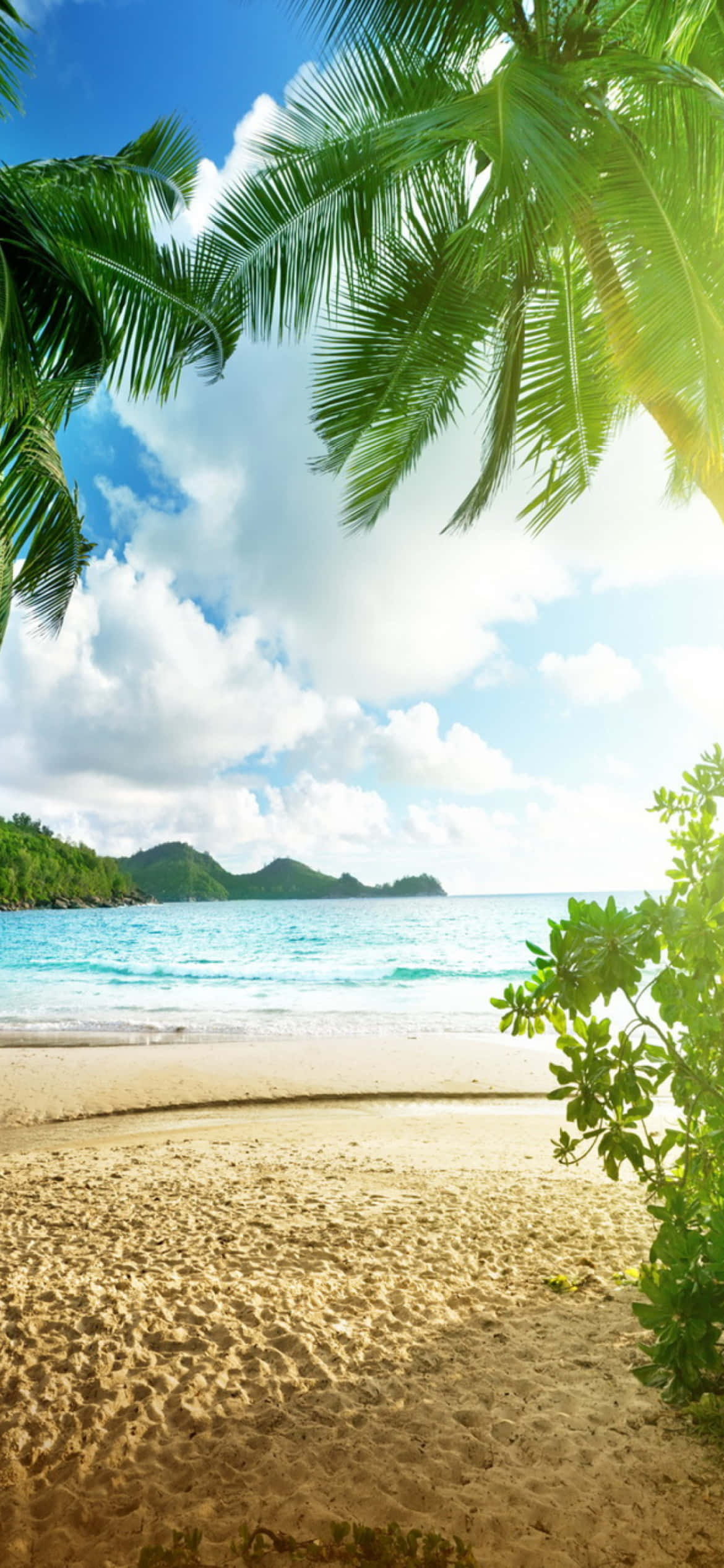 tropical beach, palm trees, ocean, Full HD Phone Wallpaper