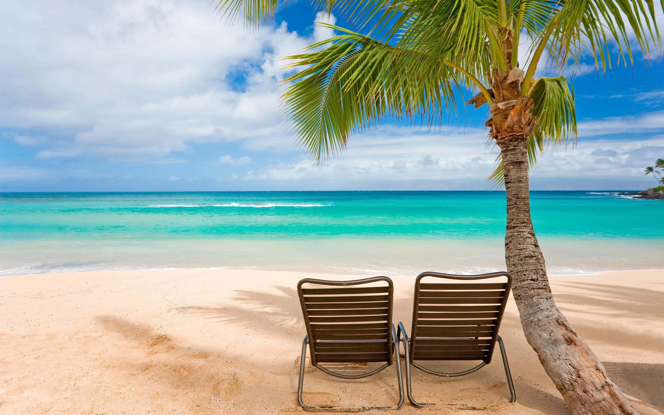 Tropical Island Chairs, palm tree, sandy beach, 2K Desktop Wallpaper