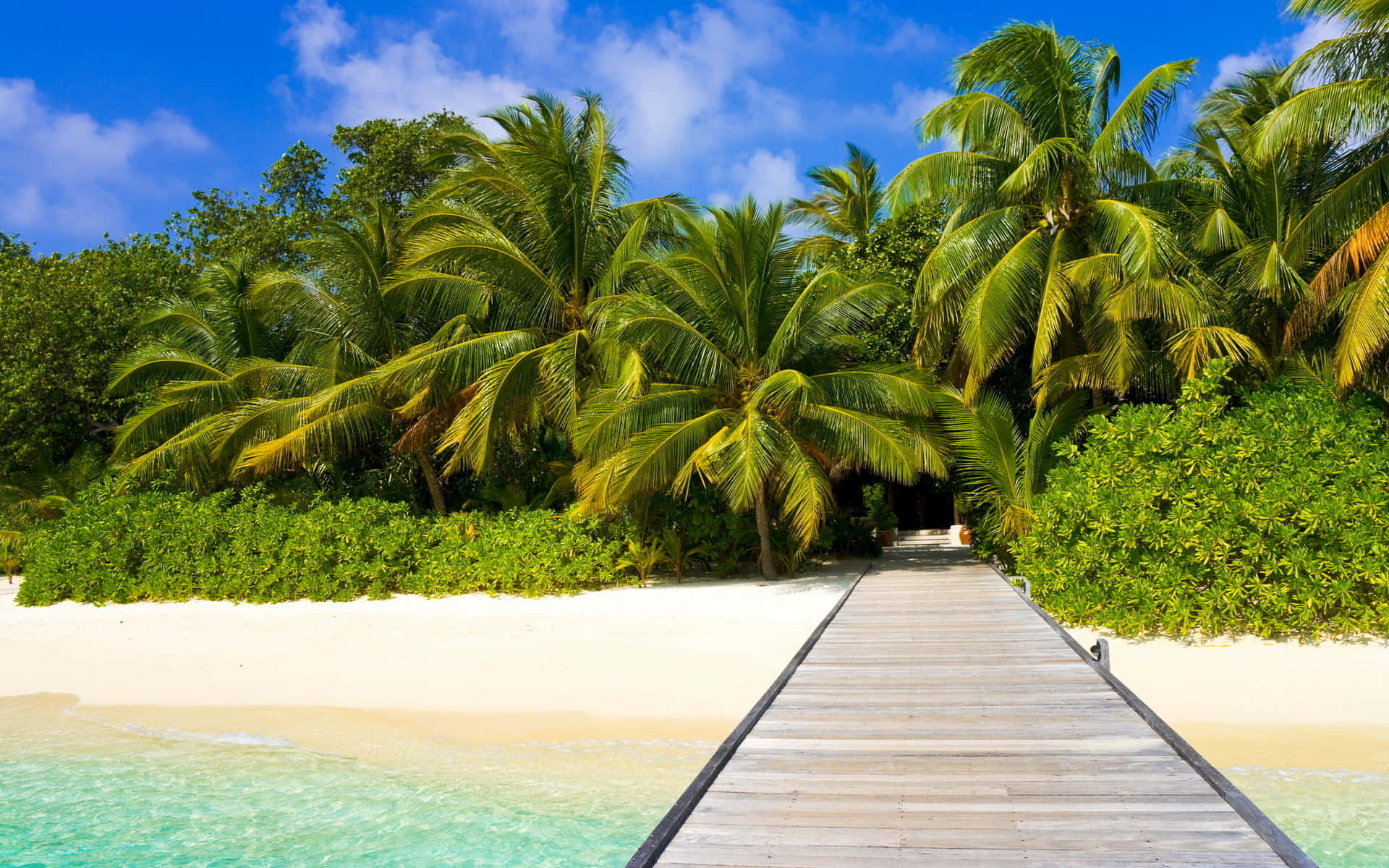 Tropical Island, wooden boardwalk, lush palm trees, Full HD Desktop Wallpaper