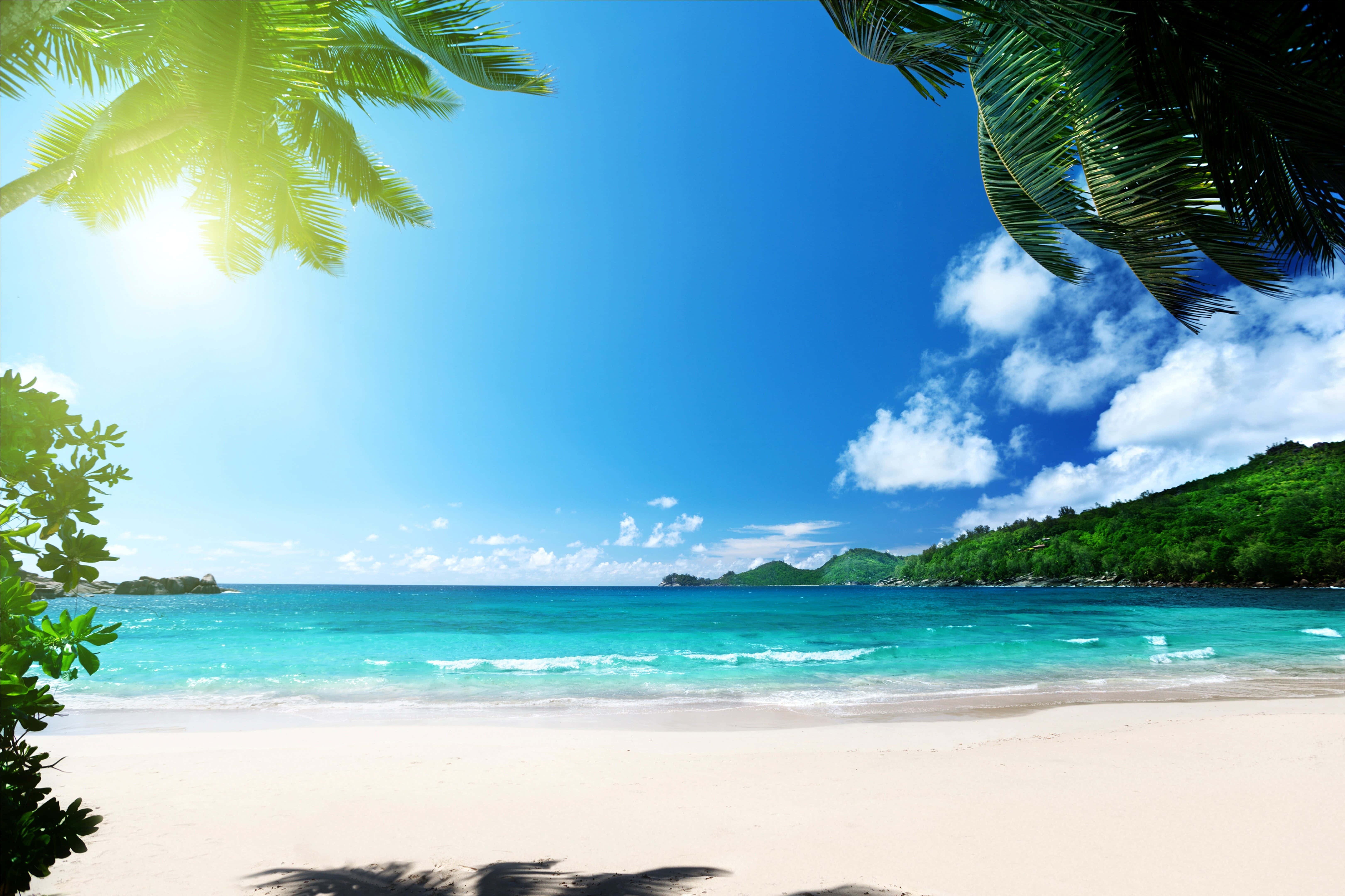 Tropical Island, sunlight, palm fronds, 5K Desktop Wallpaper