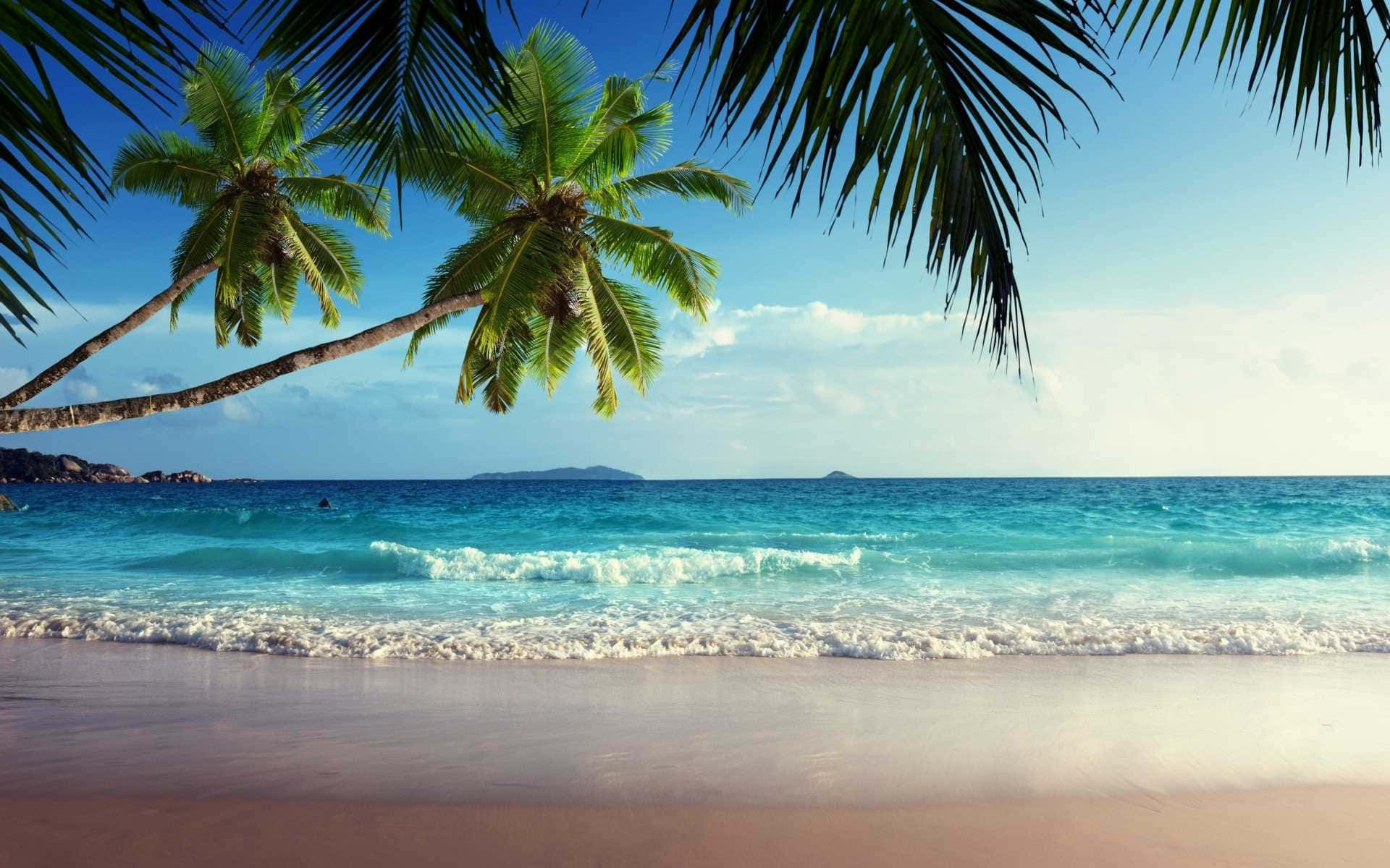 Tropical Island, turquoise waves, pink sand, Full HD Desktop Wallpaper