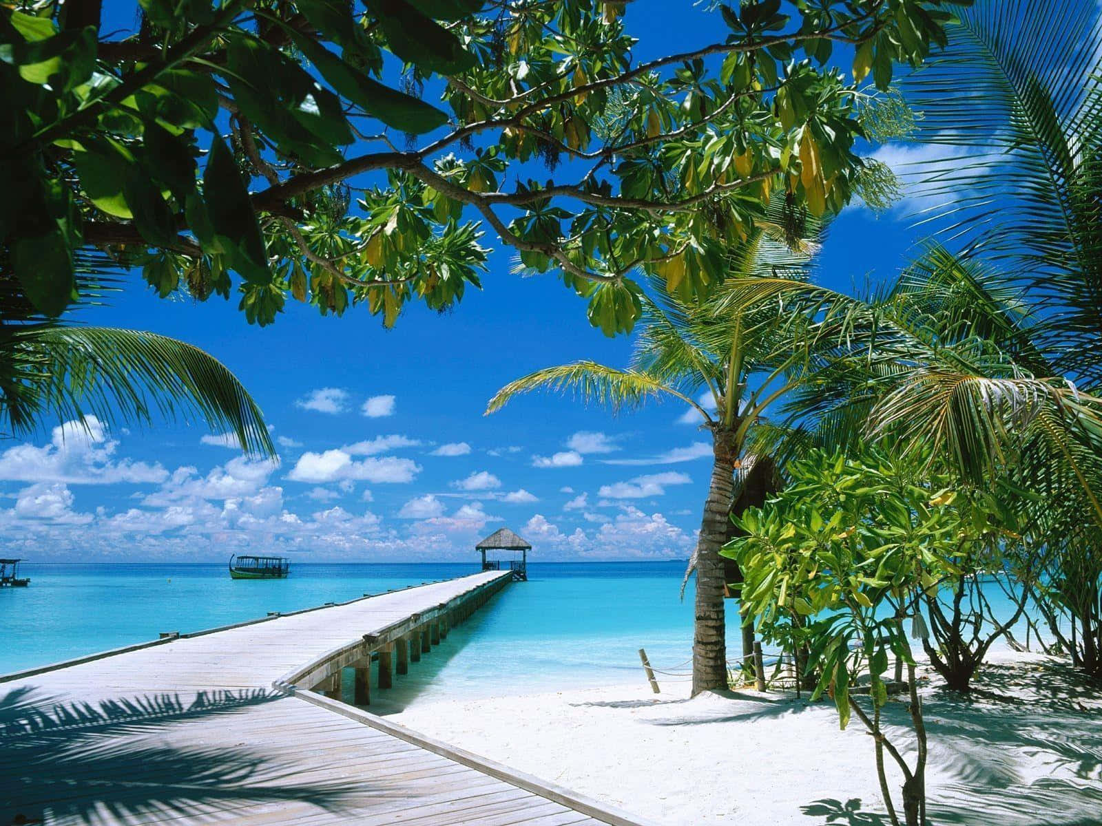 wooden walkway, beach, turquoise waters, HD Desktop Wallpaper
