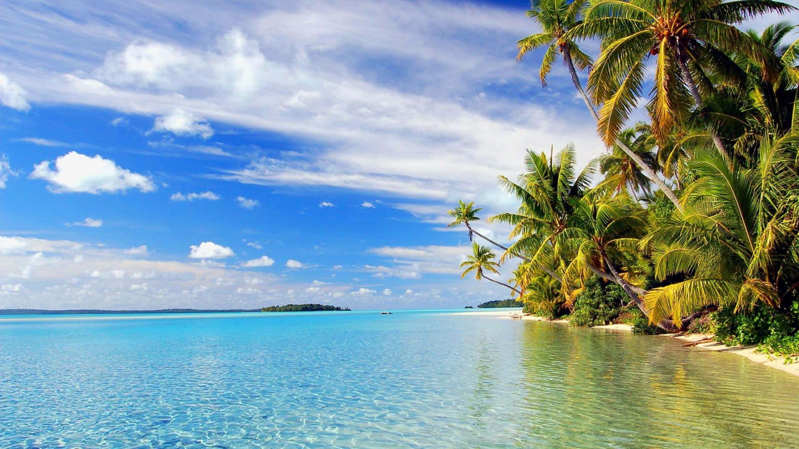 Tropical Island, turquoise waters, white sand beach, 2K Desktop Wallpaper