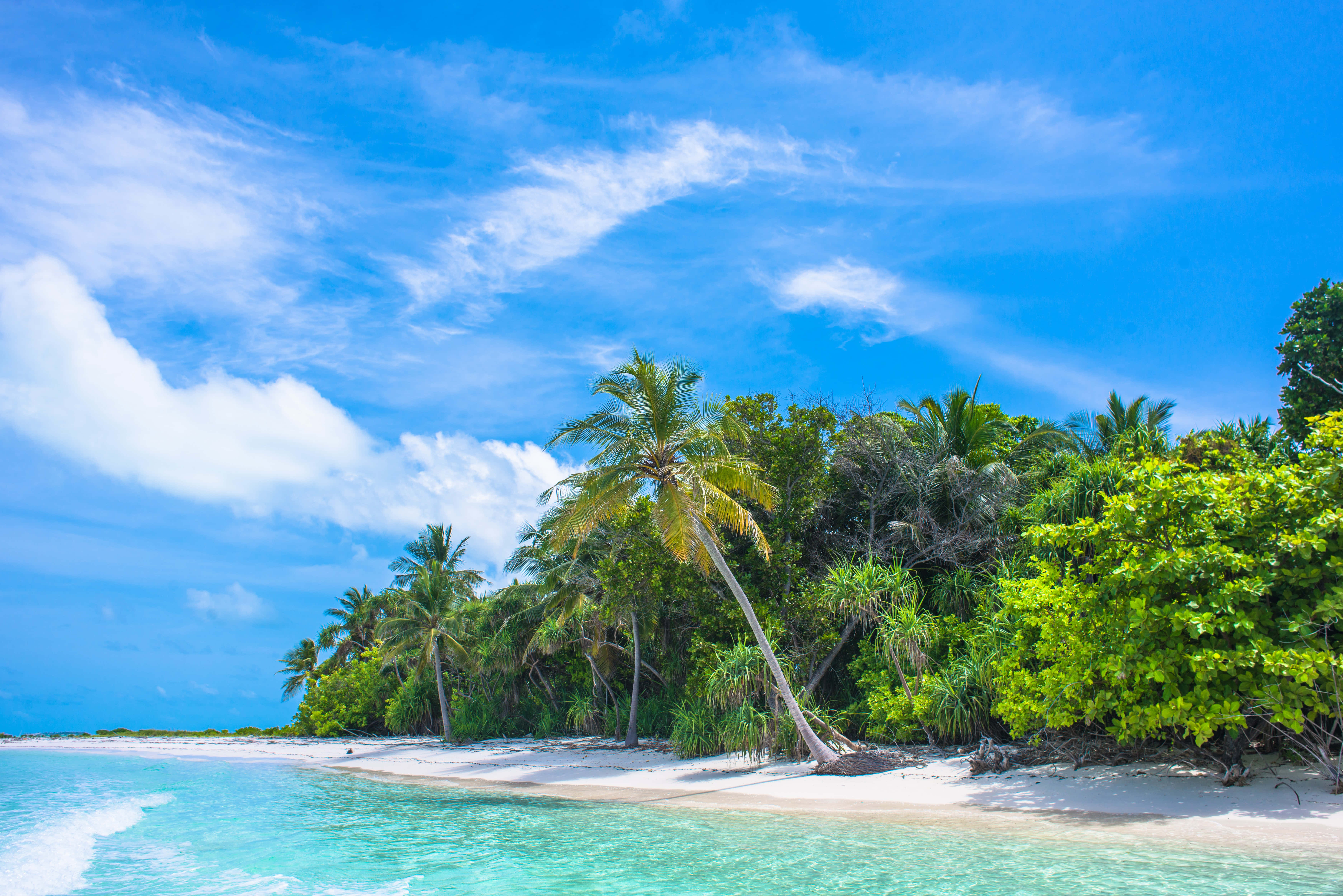 tropical beach, turquoise waters, white sand, 5K Desktop Wallpaper
