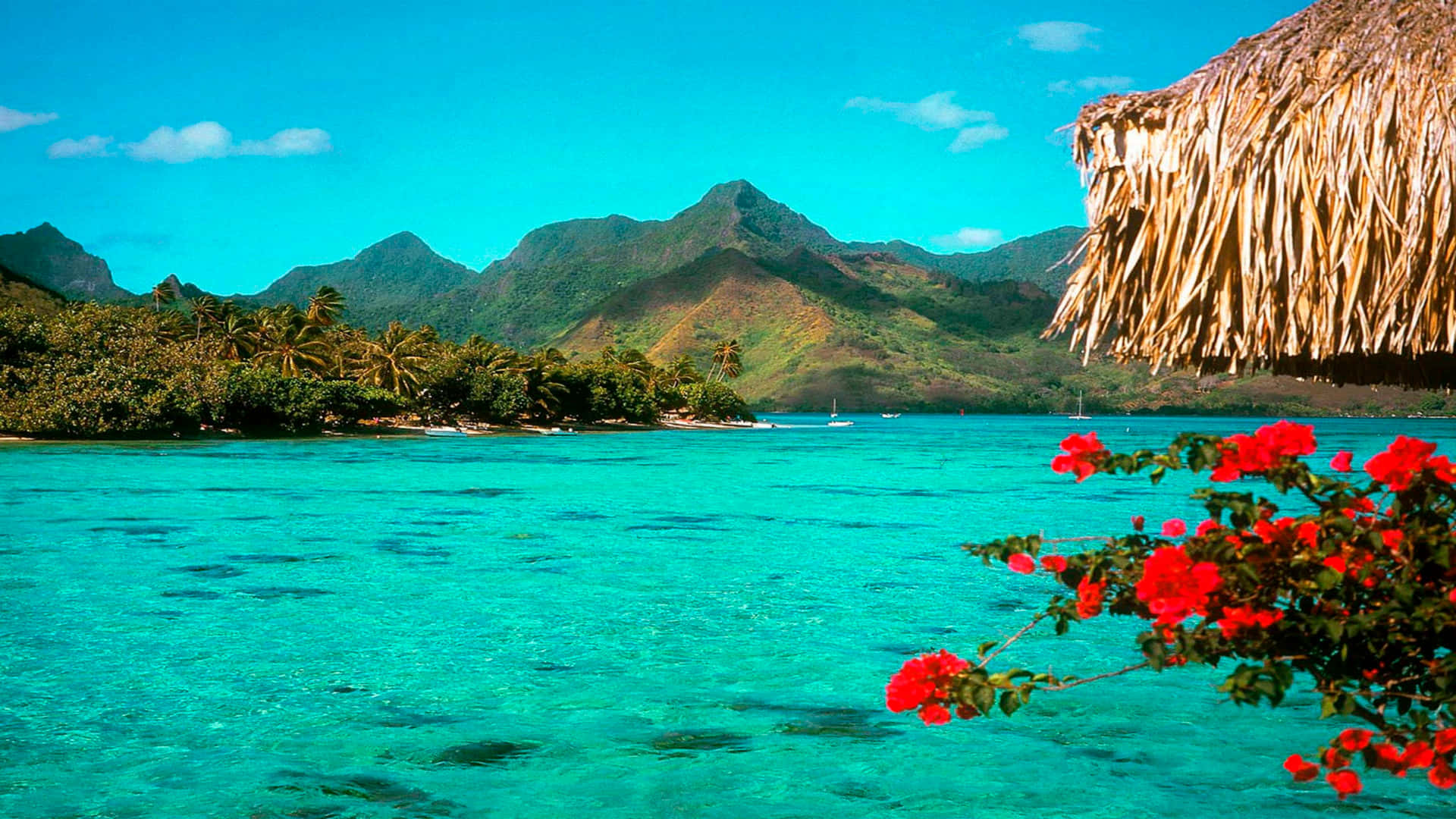 tropical island, turquoise lagoon, lush green mountains, Full HD Desktop Wallpaper