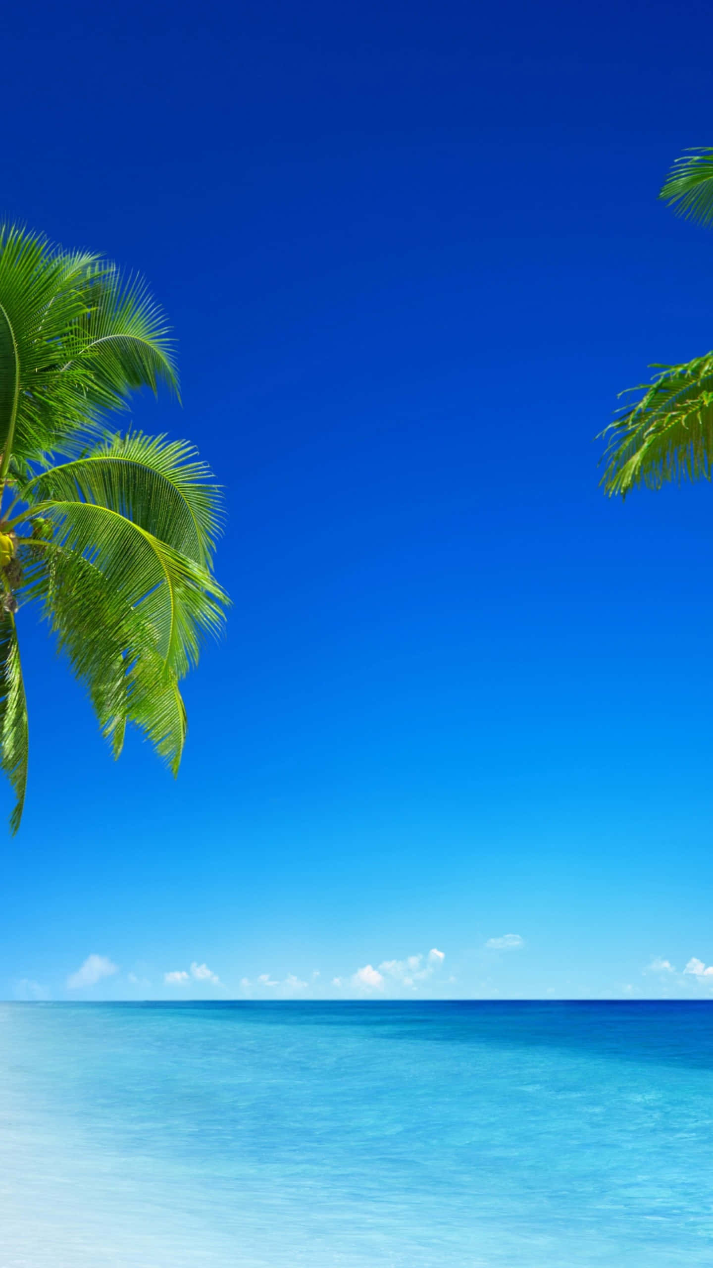 Tropical Island, turquoise ocean, azure sky, 2K Phone Wallpaper
