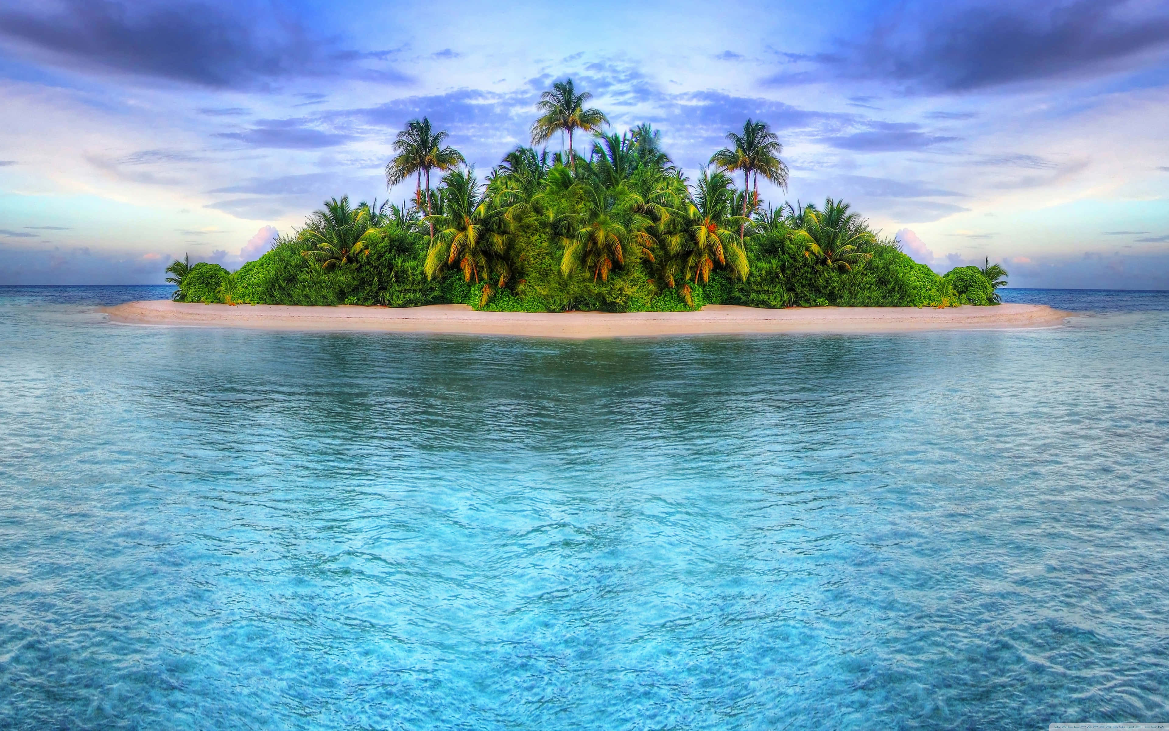 tropical island, palm trees, crystal clear turquoise water, 4K Desktop Wallpaper