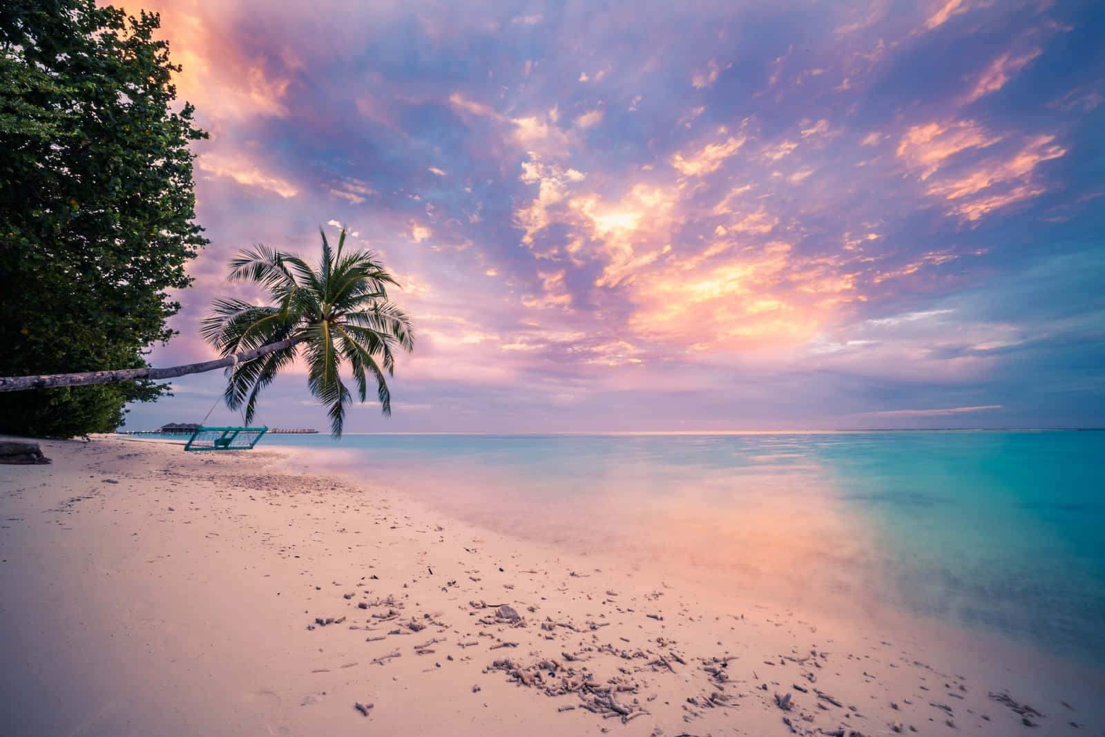 Tropical Island, sunset, palm tree, HD Desktop Wallpaper