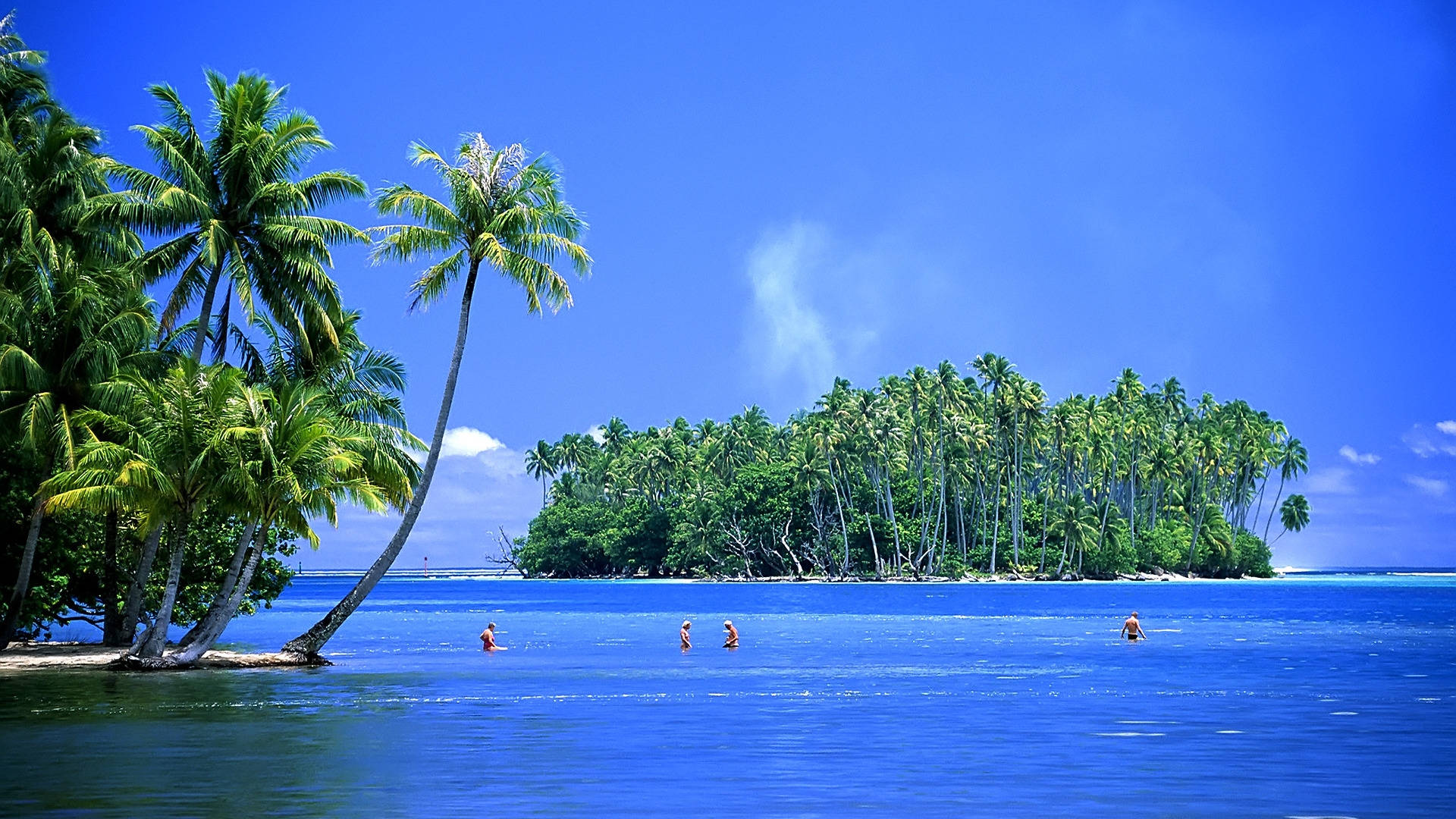 Tropical Island, palm trees, crystal blue waters, Full HD Desktop Wallpaper