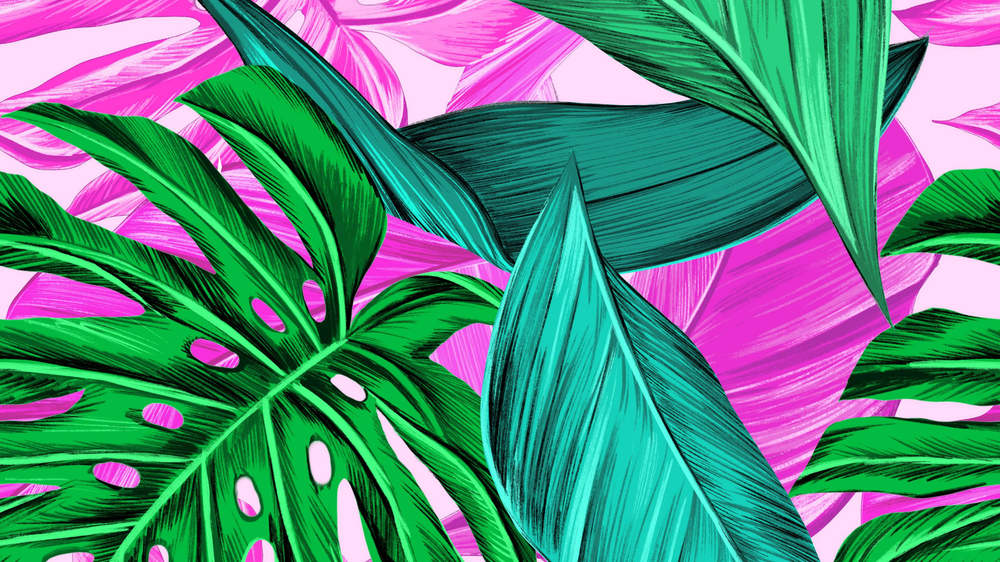 tropical leaves desktop, electric green, teal, 4K Desktop Wallpaper
